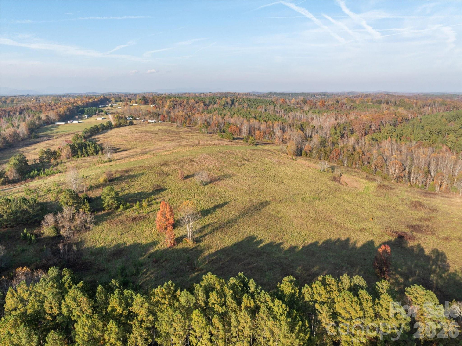 1888 Pea Ridge Road - Photo 4