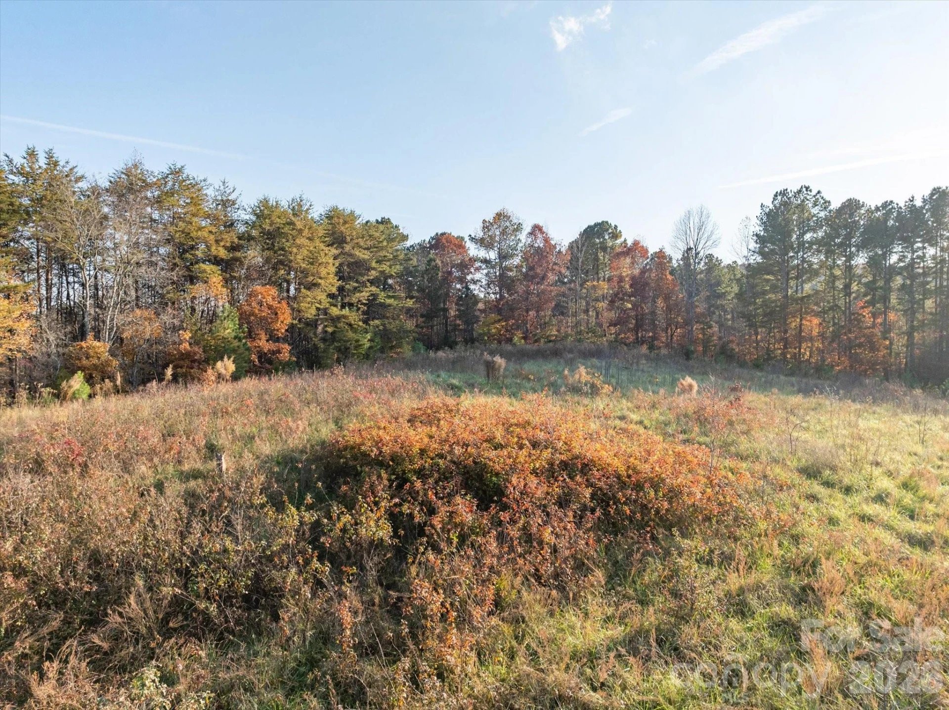 1888 Pea Ridge Road - Photo 8