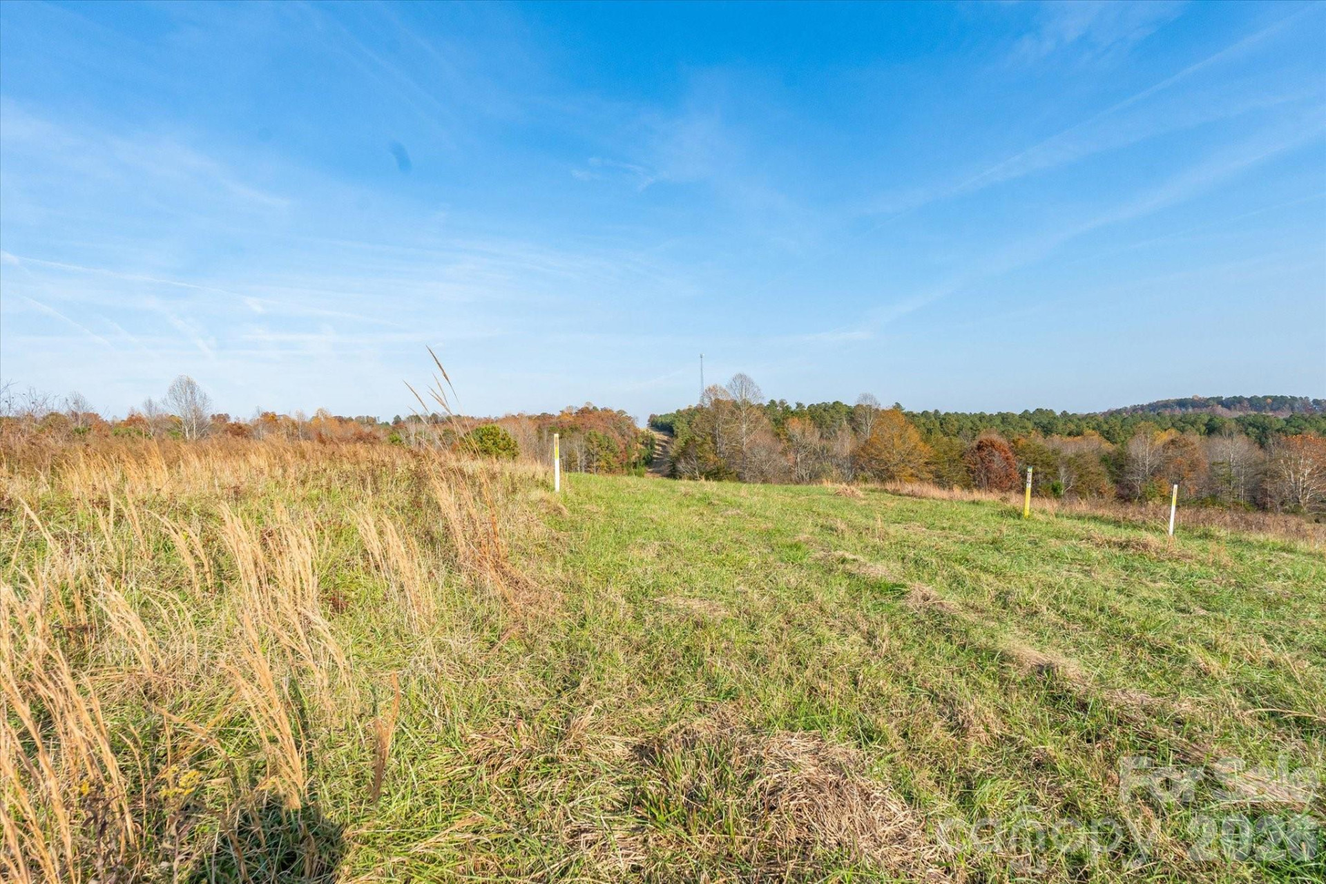 1888 Pea Ridge Road - Photo 9