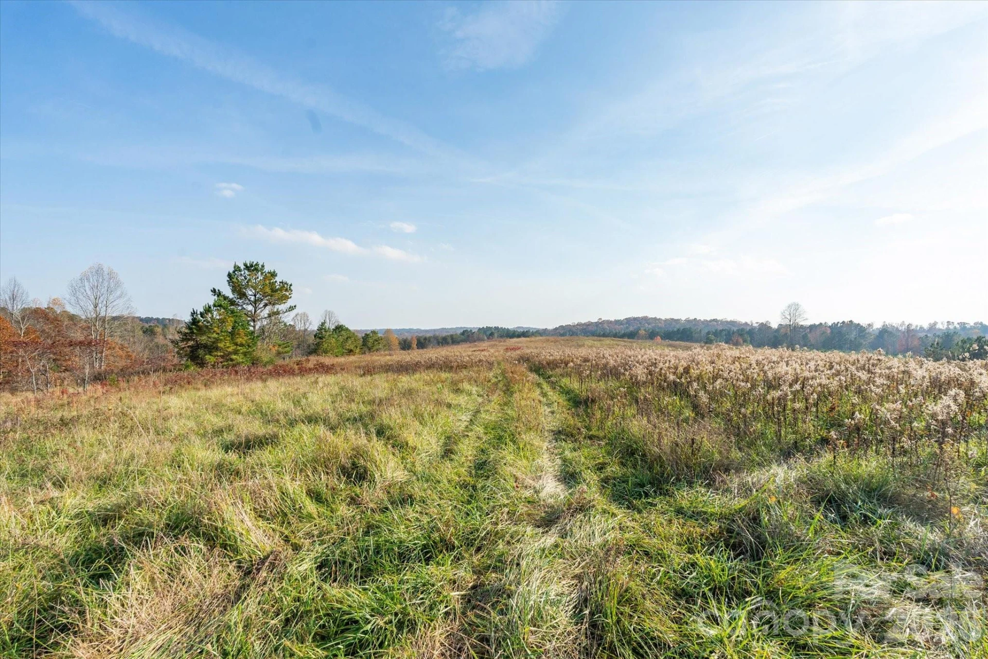 1888 Pea Ridge Road - Photo 10