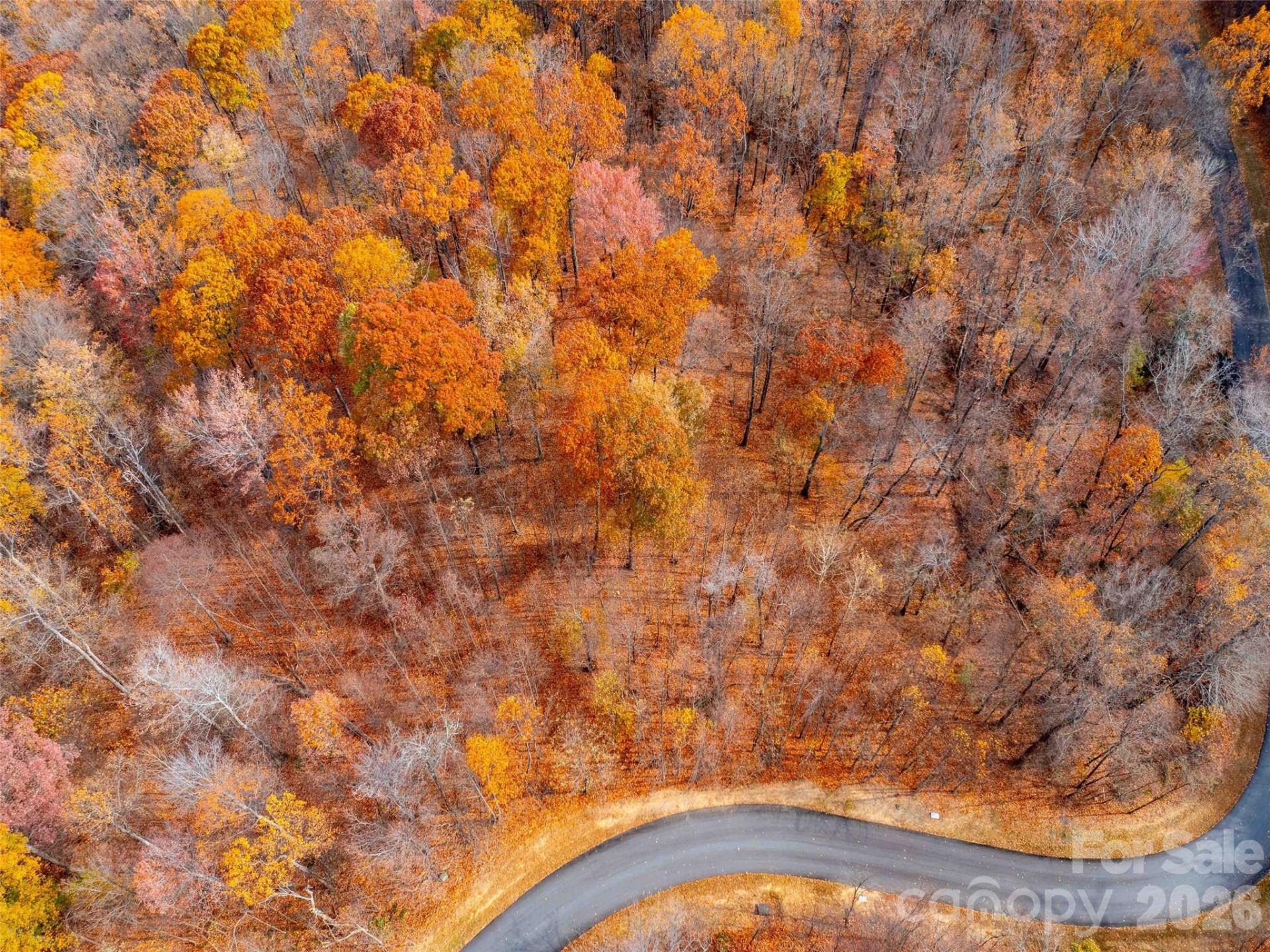 Lot 2110 Harm Creek Loop - Photo 2