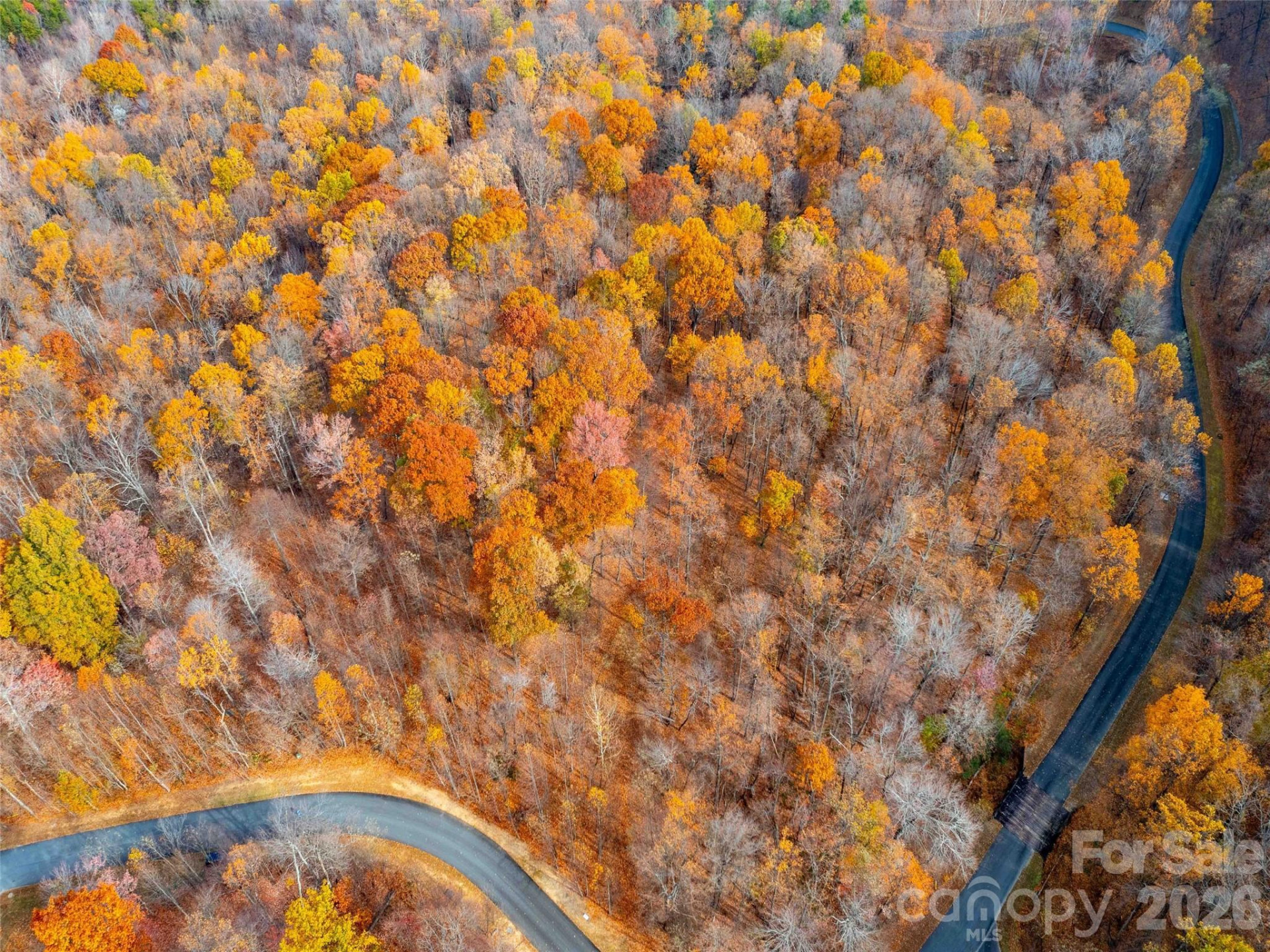 Lot 2110 Harm Creek Loop - Photo 5