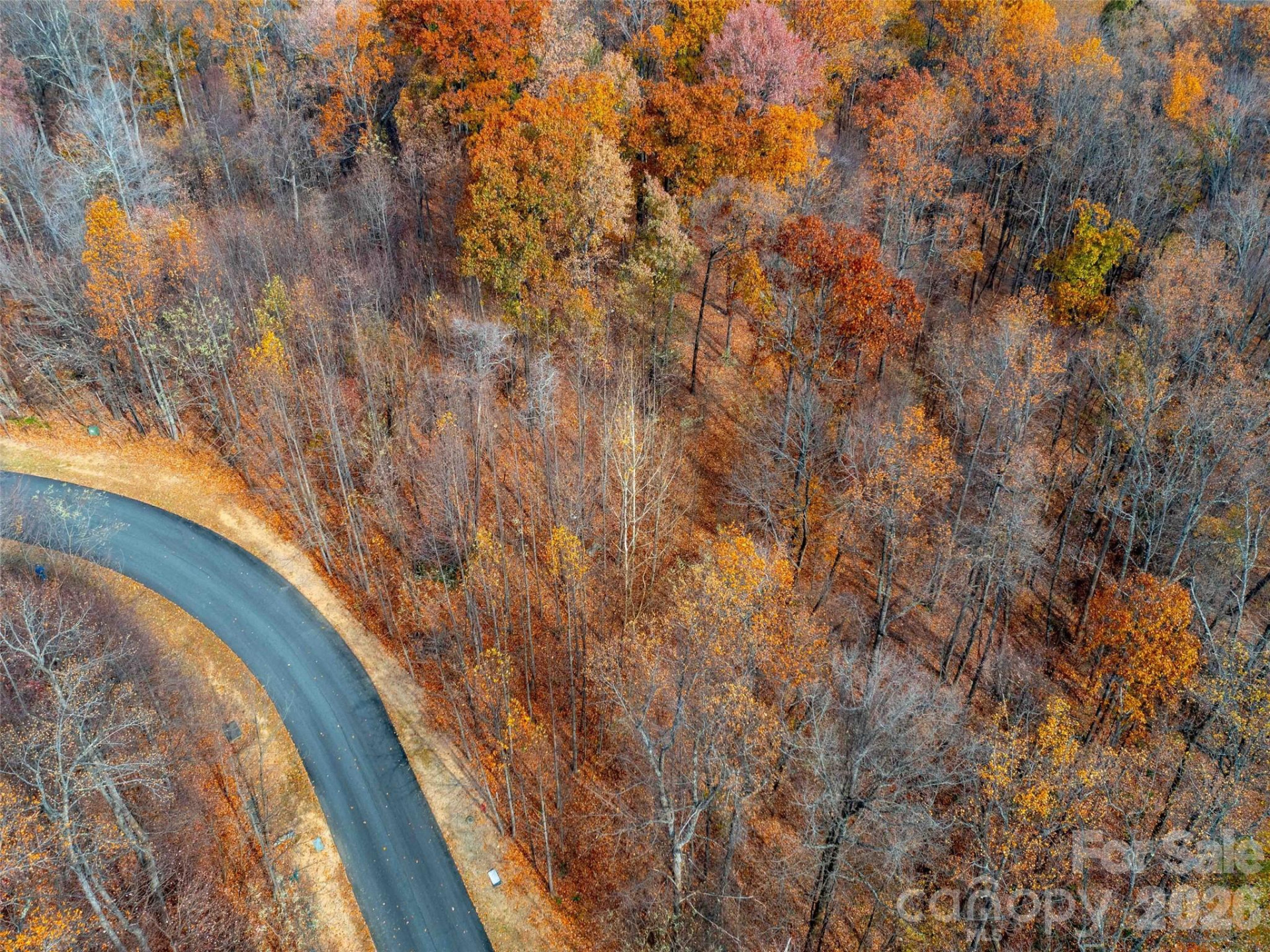 Lot 2110 Harm Creek Loop - Photo 6