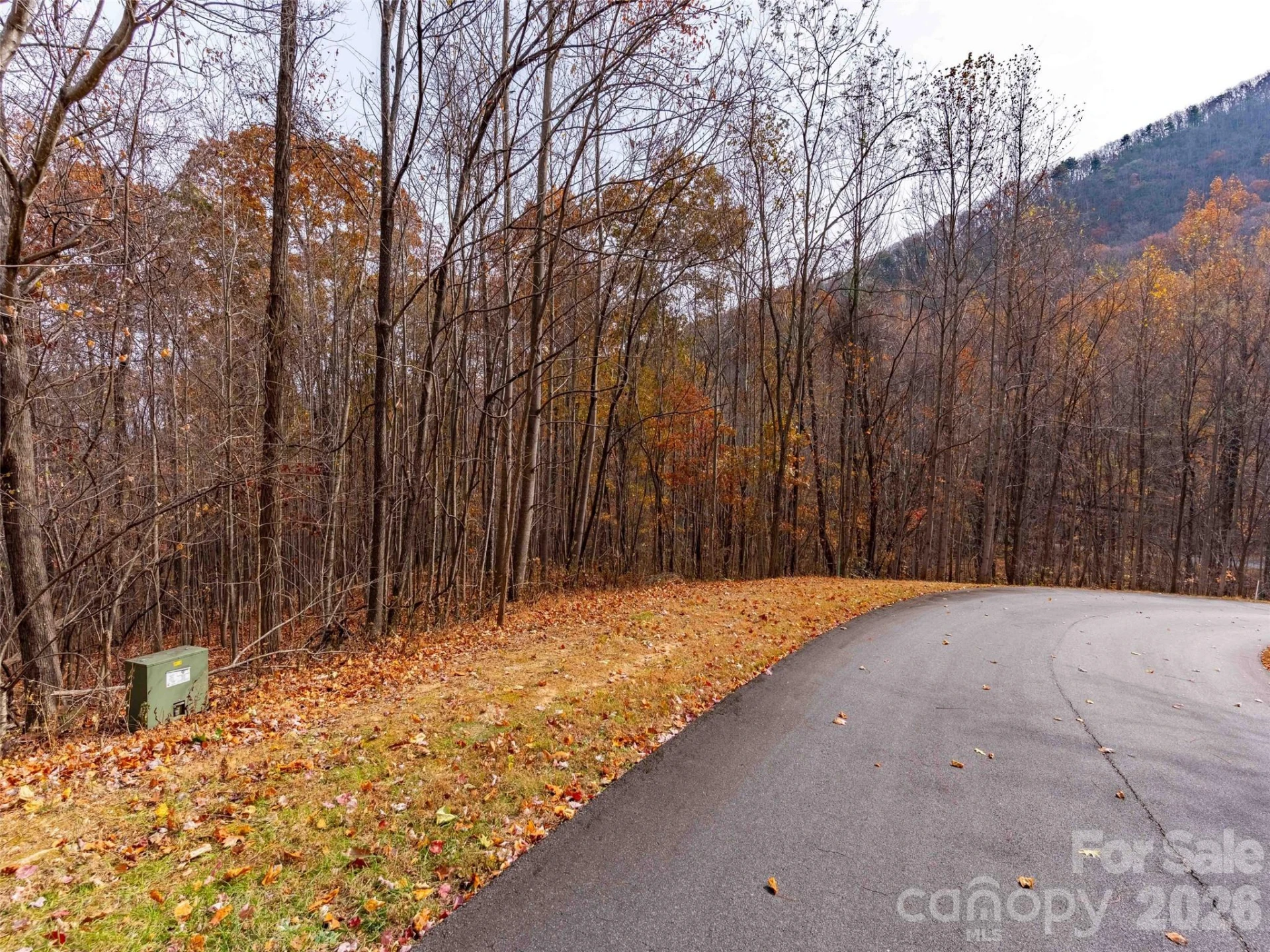 Lot 2110 Harm Creek Loop - Photo 7