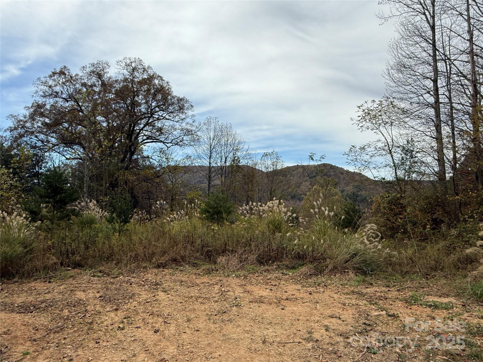 Lot # 2 West Legacy Drive #2 - Photo 3