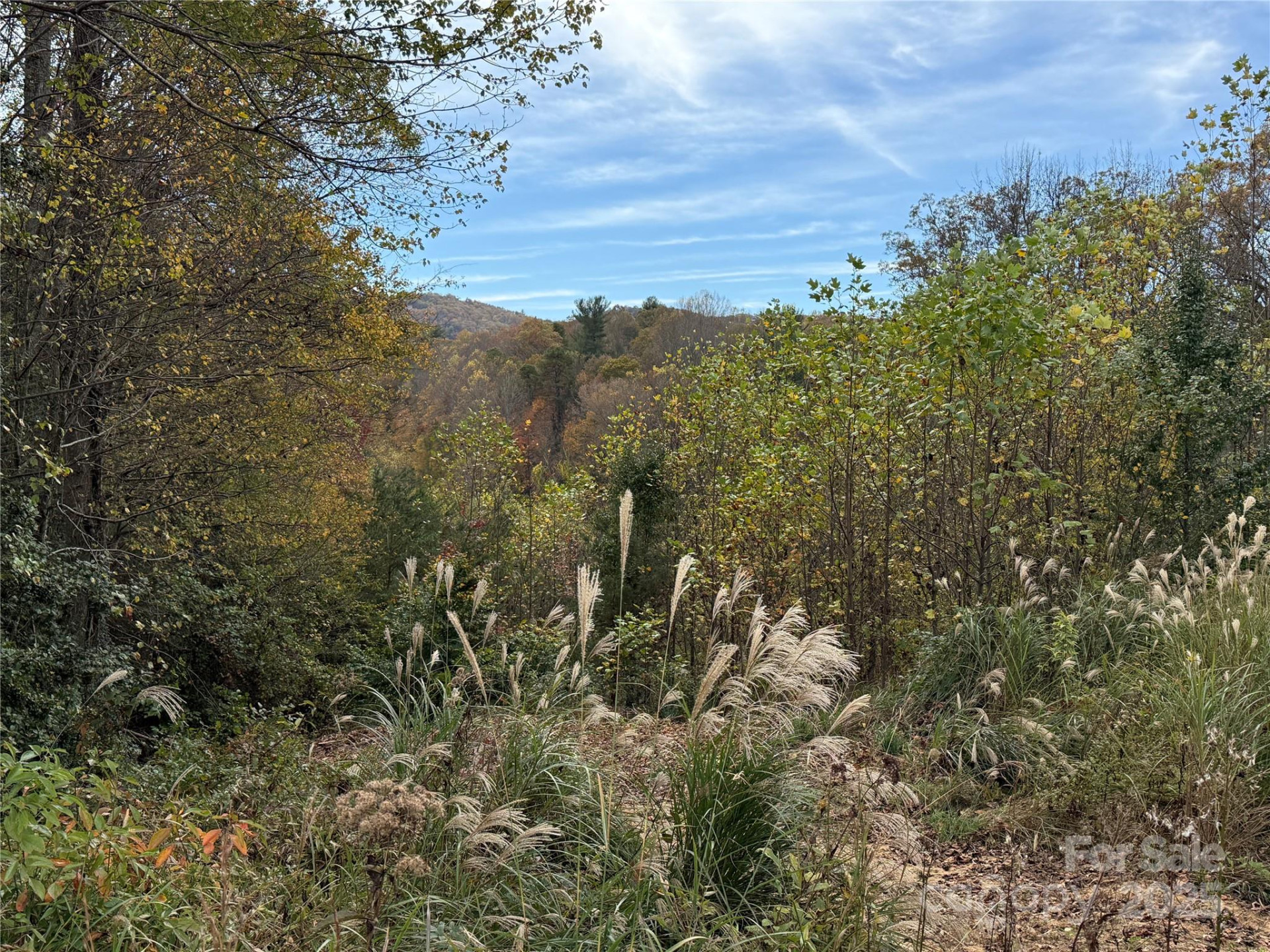 Lot # 2 West Legacy Drive #2 - Photo 37