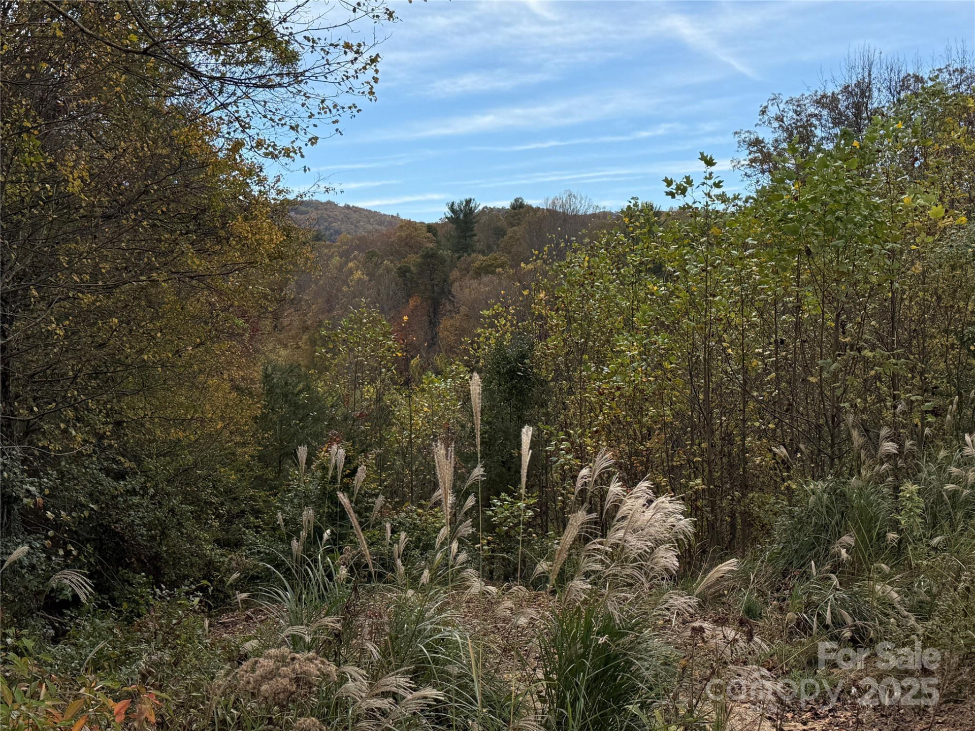 Lot # 2 West Legacy Drive #2 - Photo 5