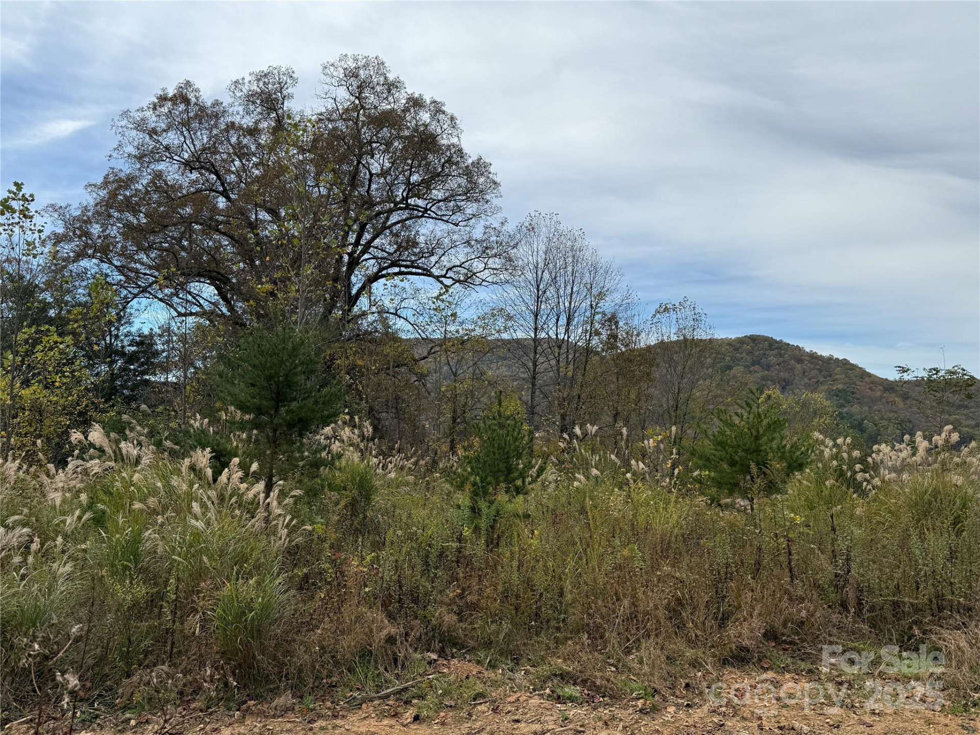 Lot # 2 West Legacy Drive #2 - Photo 9