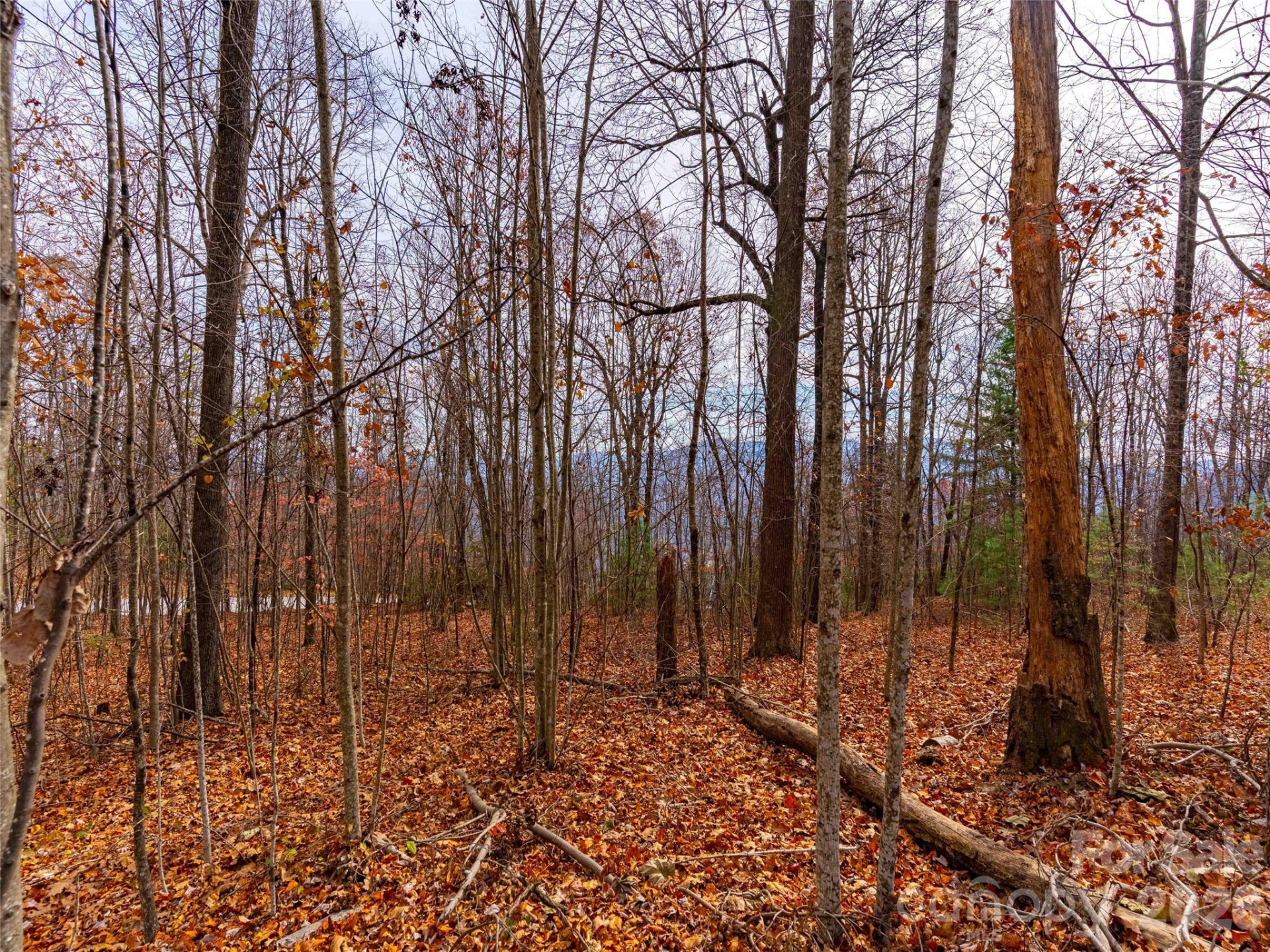 Lot 253 Haddington Drive - Photo 15