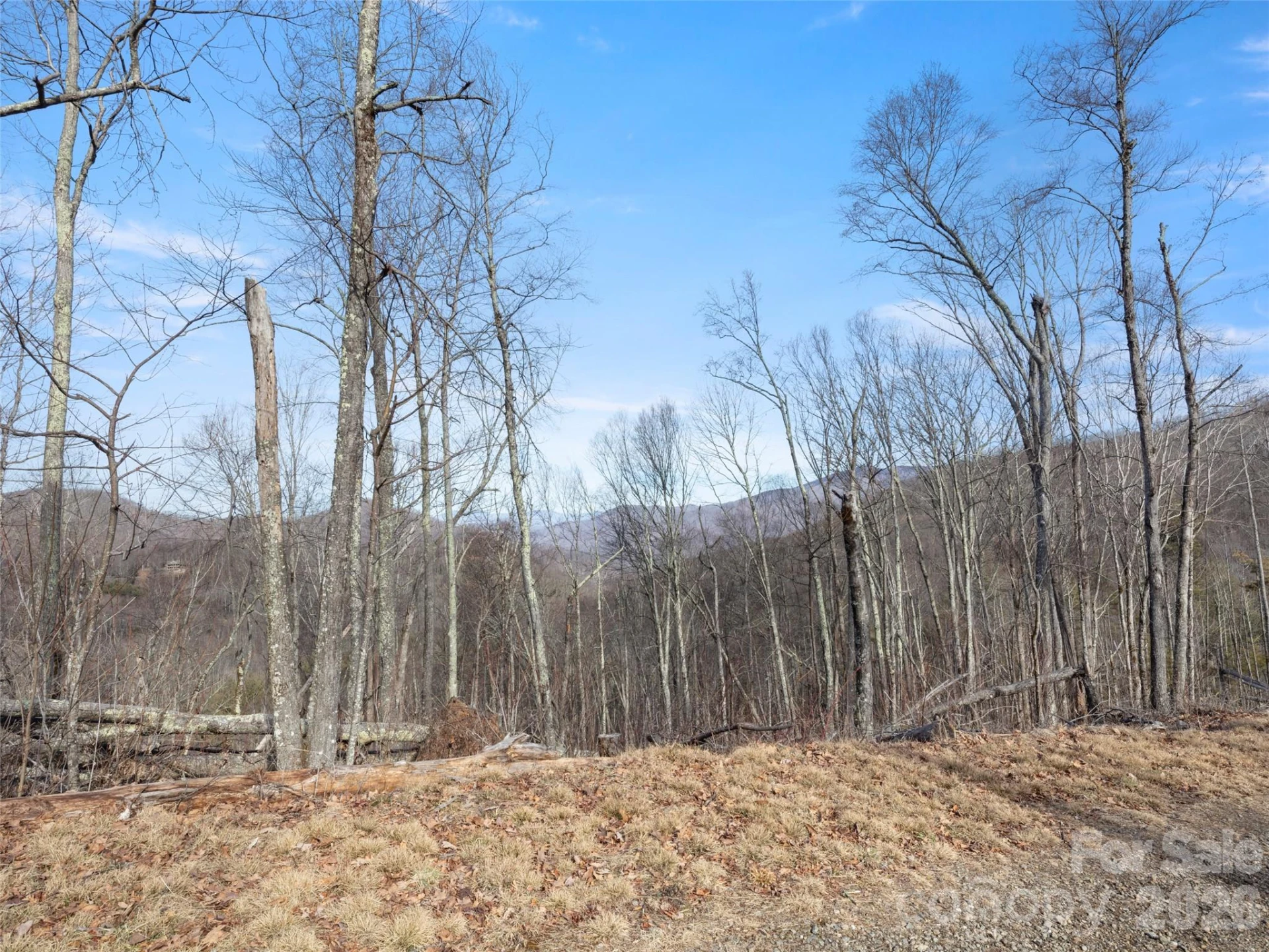 TBD Ridge Runner Road - Photo 2