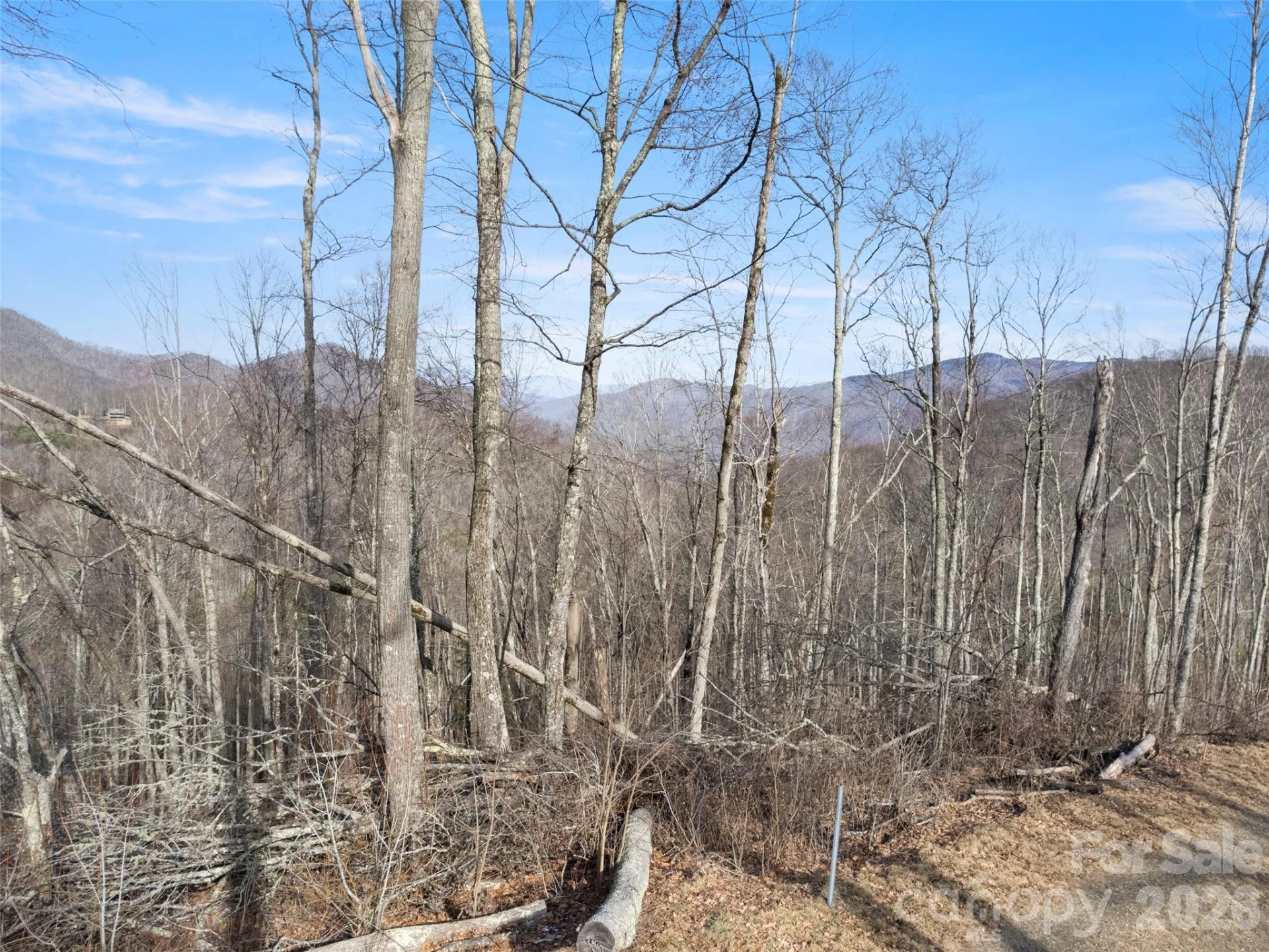 TBD Ridge Runner Road - Photo 3