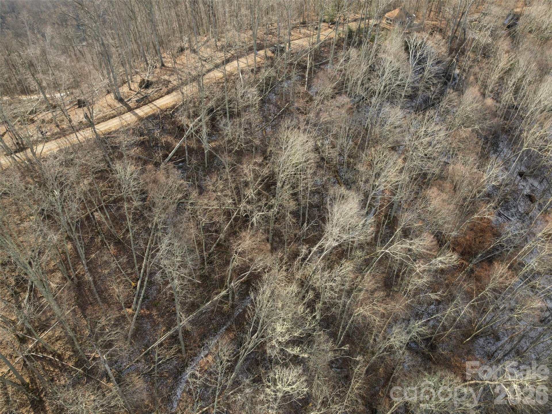 TBD Ridge Runner Road - Photo 4