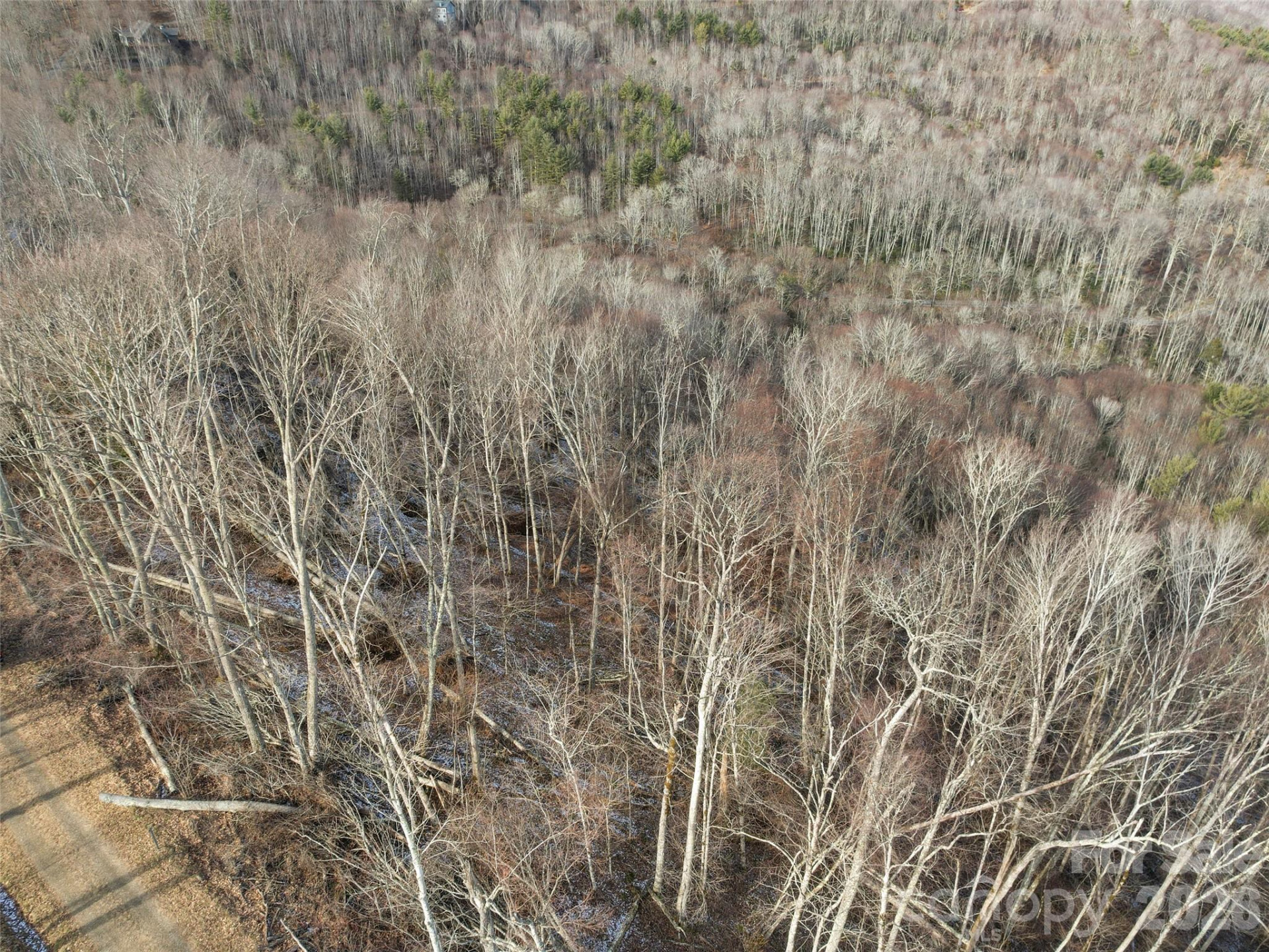 TBD Ridge Runner Road - Photo 7