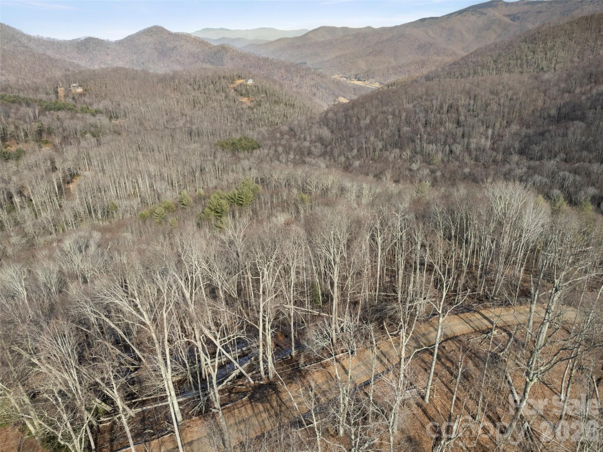 TBD Ridge Runner Road - Photo 8