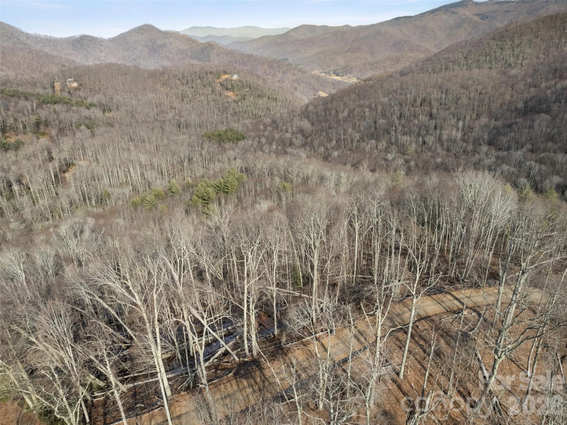 TBD Ridge Runner Road - Photo 8