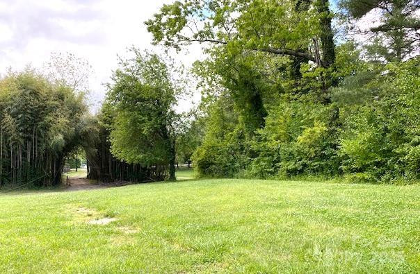 99999 Brevard Road - Photo 2