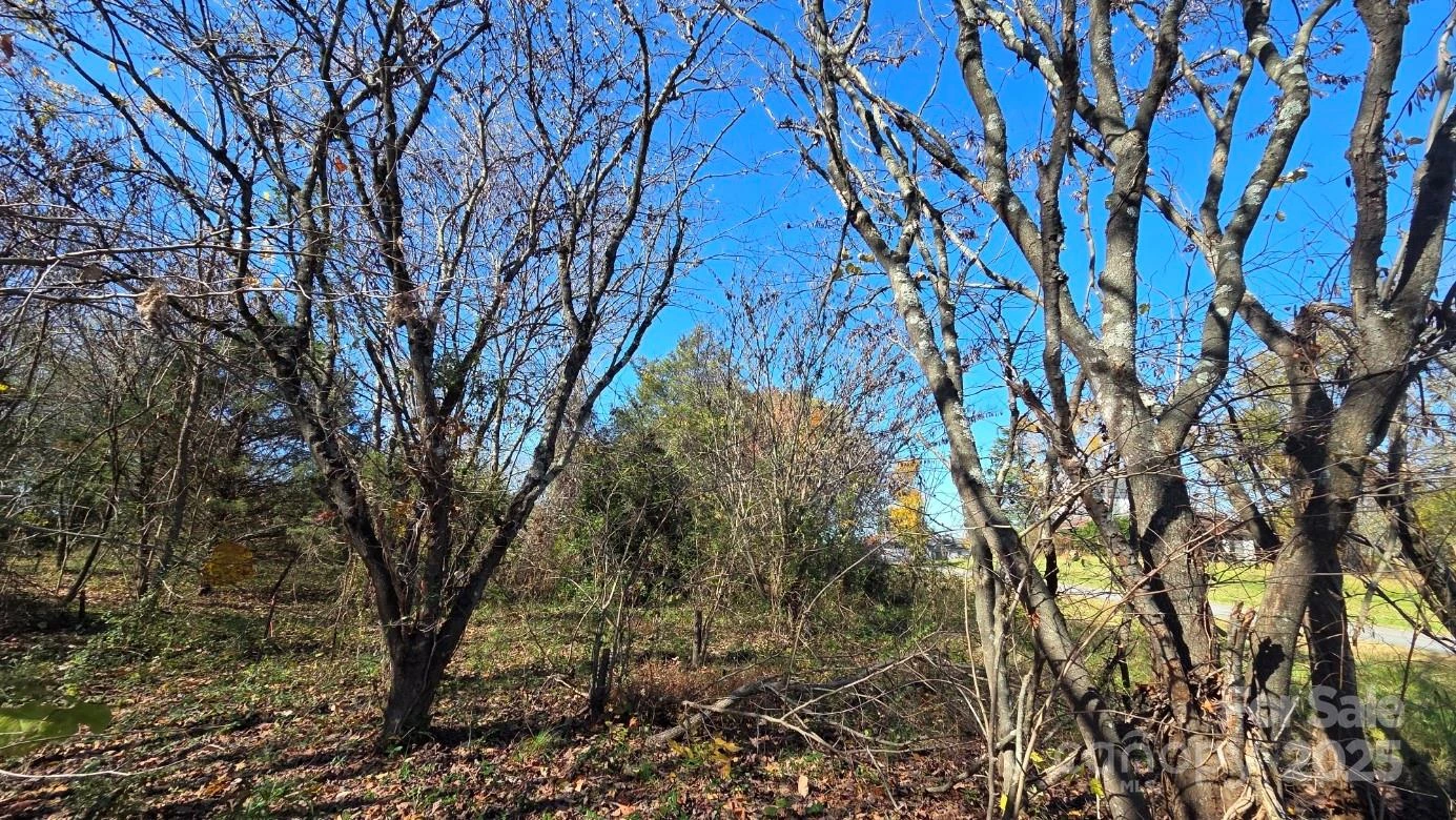 00000 Reepsville Road - Photo 2