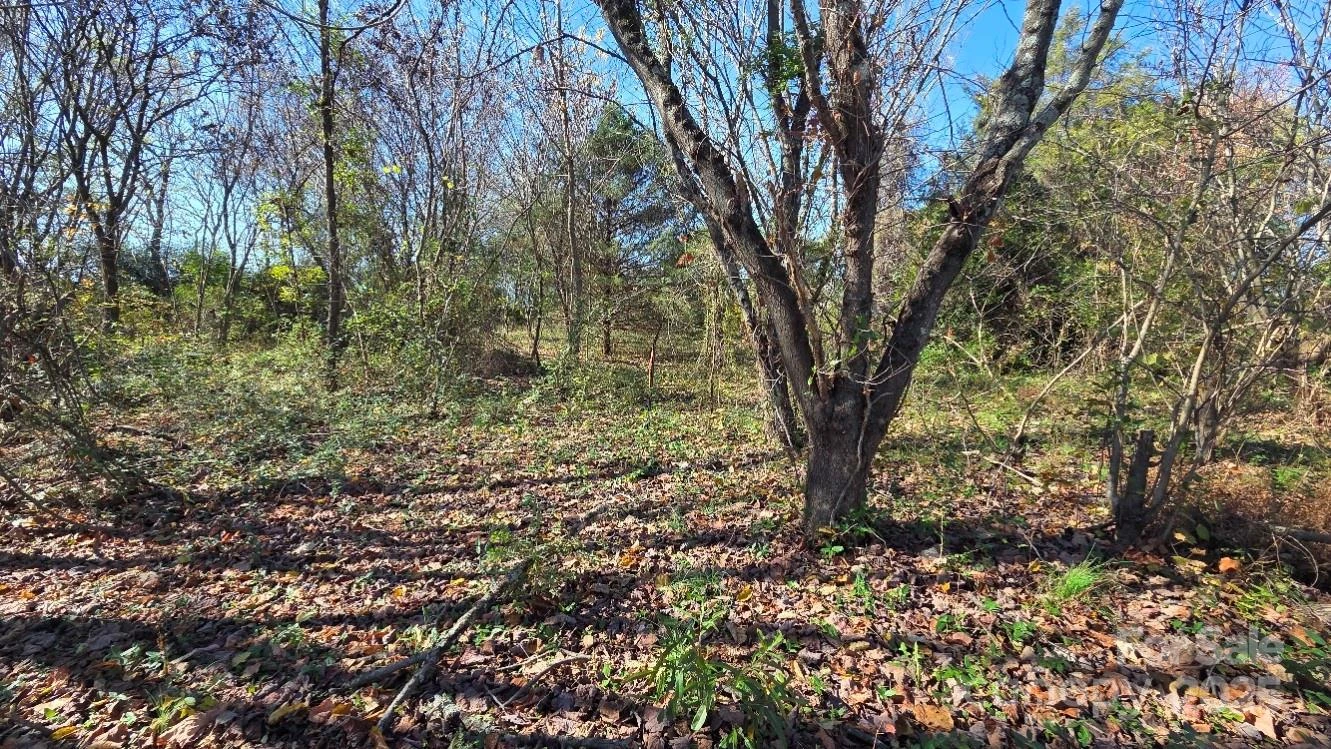 00000 Reepsville Road - Photo 3