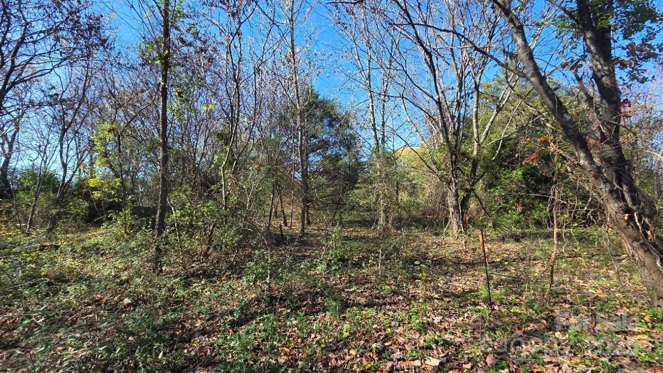 00000 Reepsville Road - Photo 4