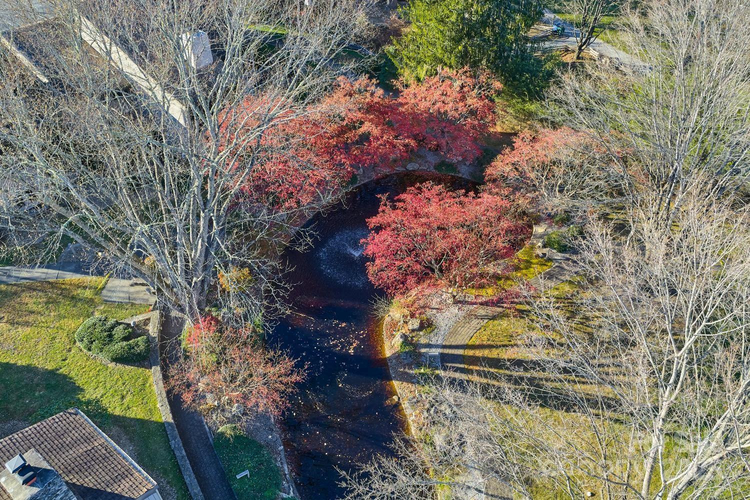 16 Lakemoor Lane - Photo 38