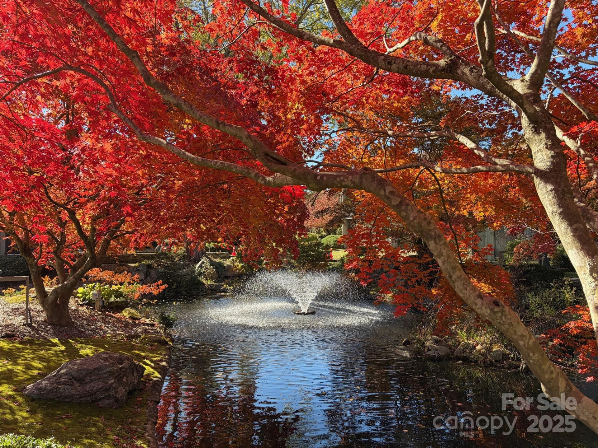 16 Lakemoor Lane - Photo 41