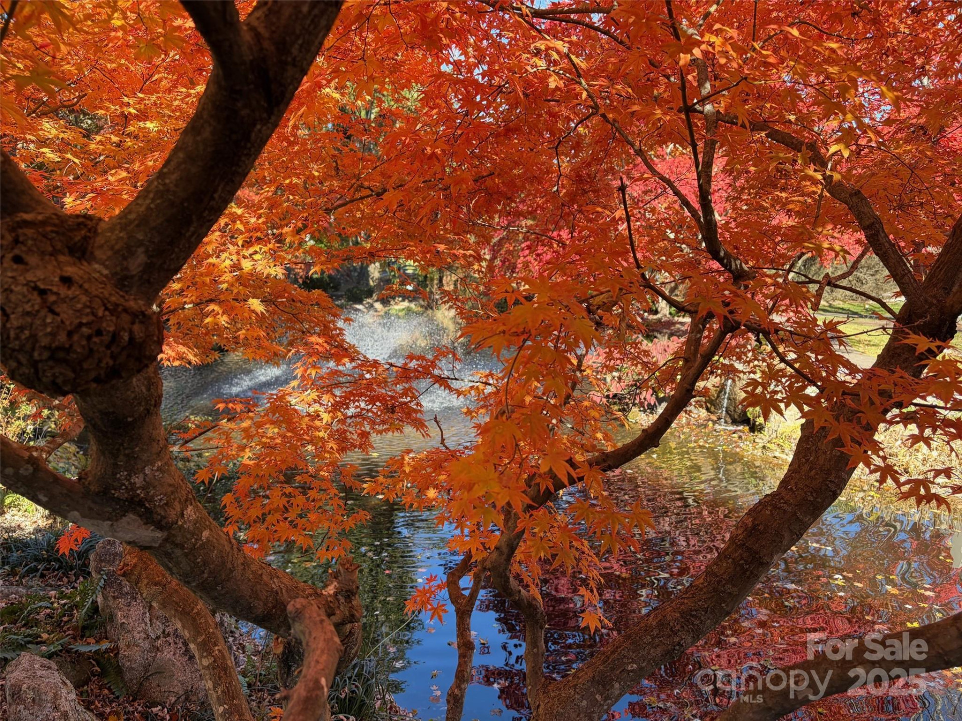 16 Lakemoor Lane - Photo 42