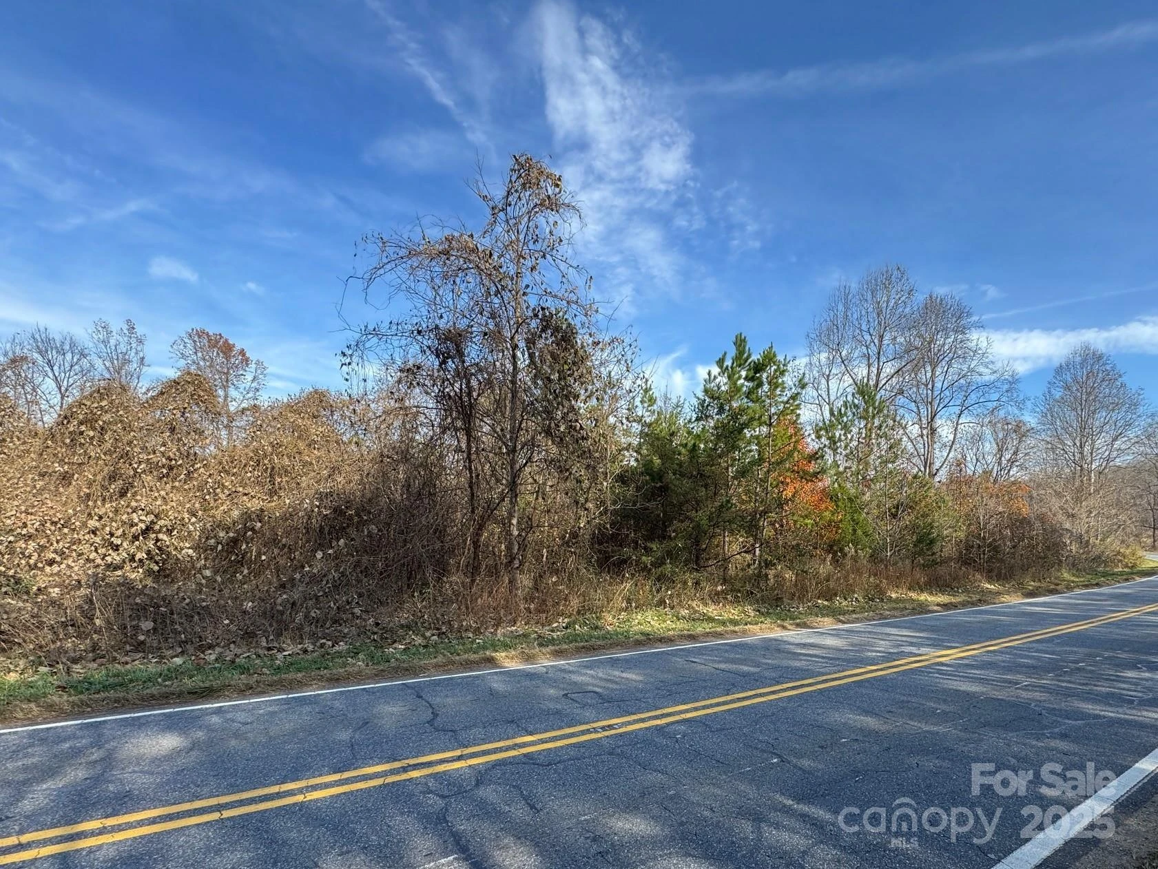000 Thunder Road - Photo 3