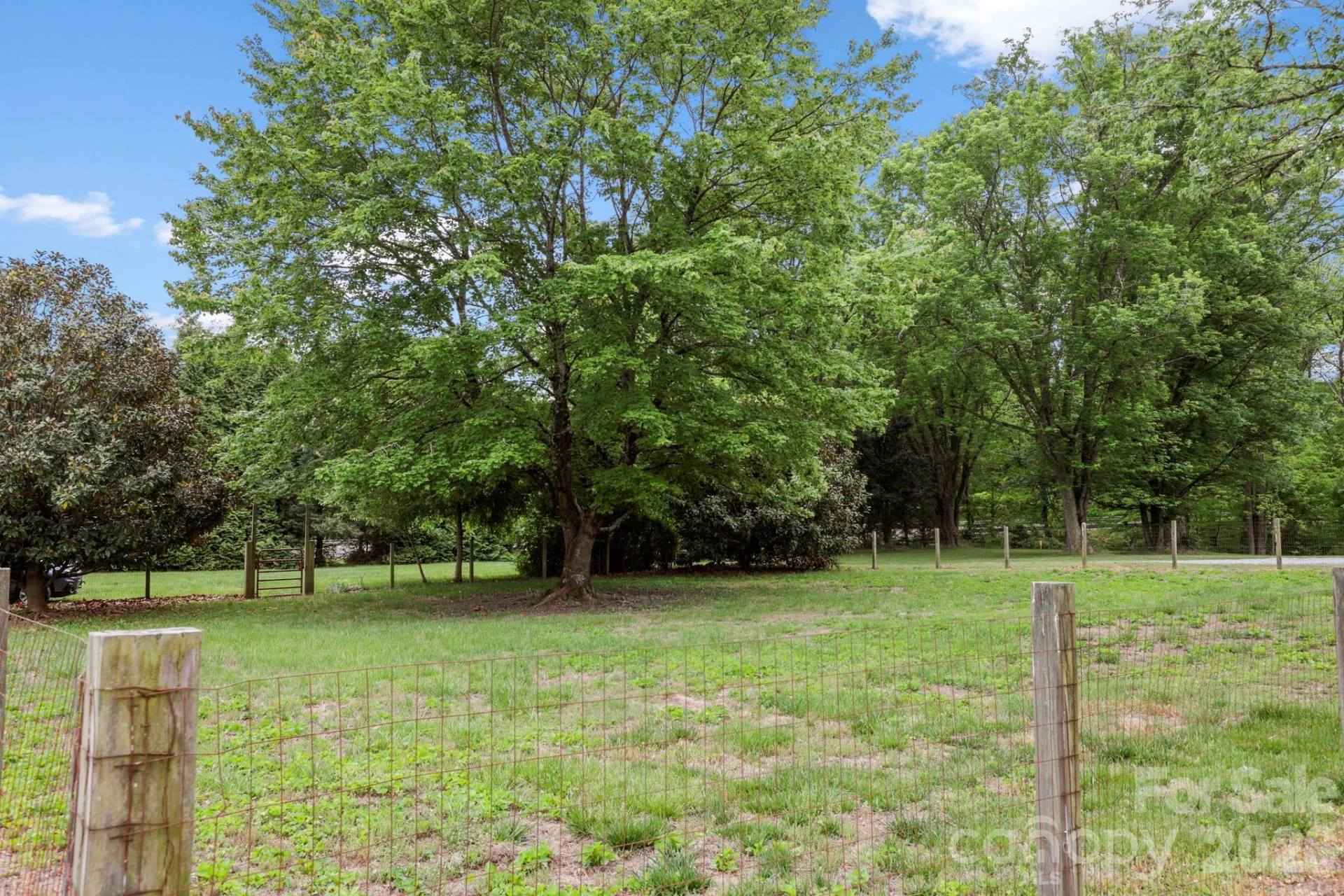 68 Lisam Way - Photo 27