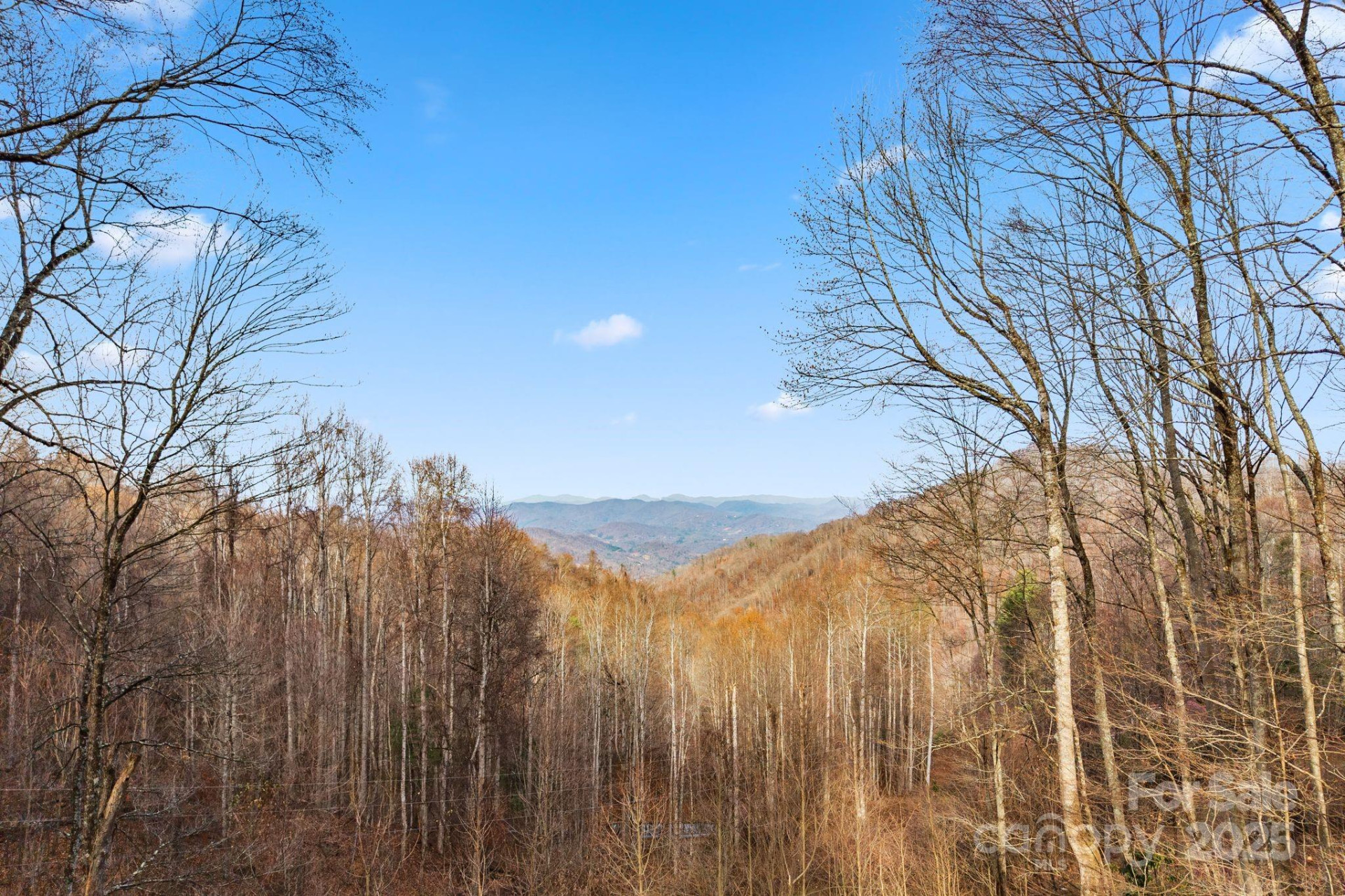 2650 Secluded Valley Road - Photo 26