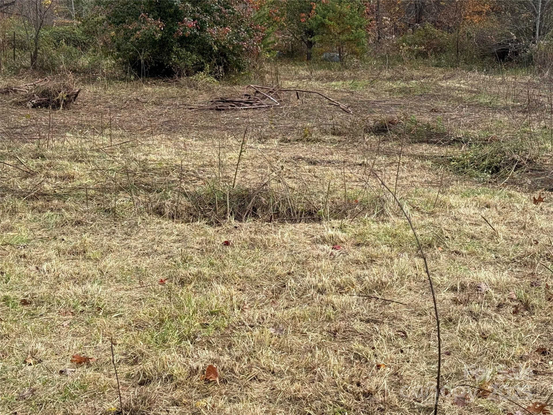 00 Paul Shuping Avenue - Photo 14