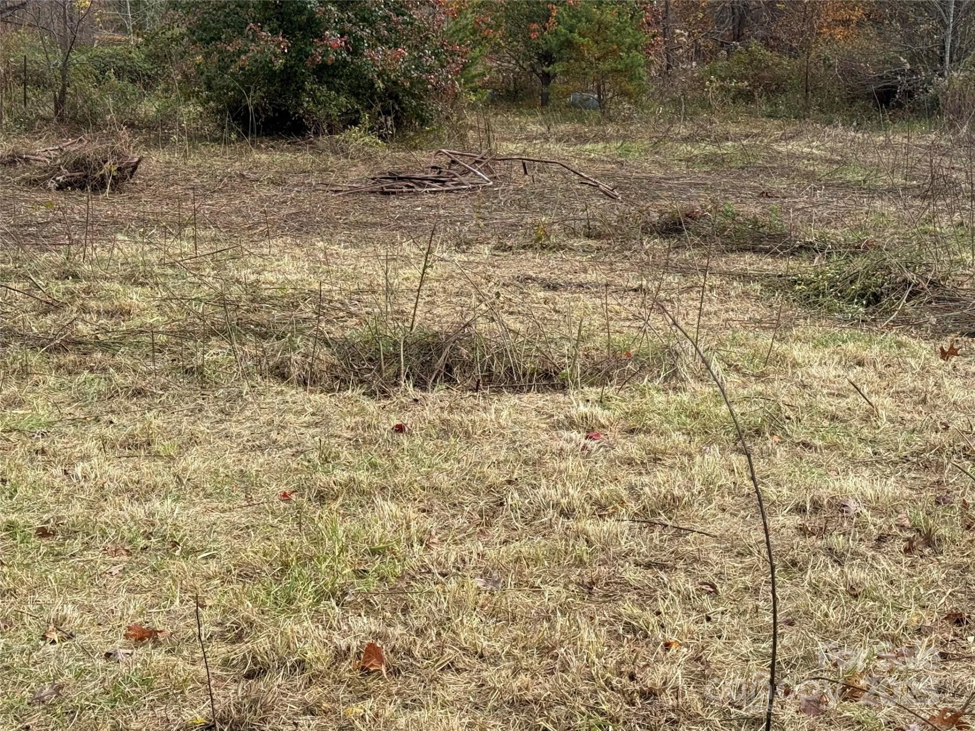 00 Paul Shuping Avenue - Photo 14
