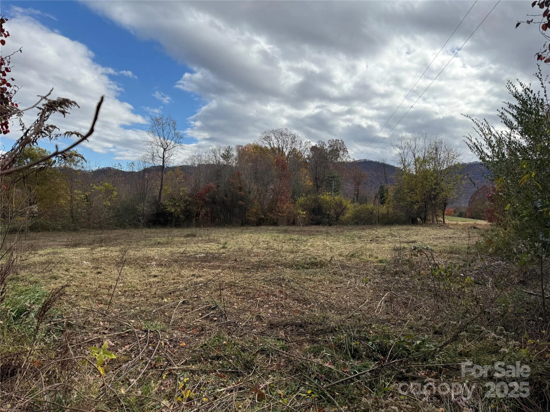 00 Paul Shuping Avenue - Photo 15