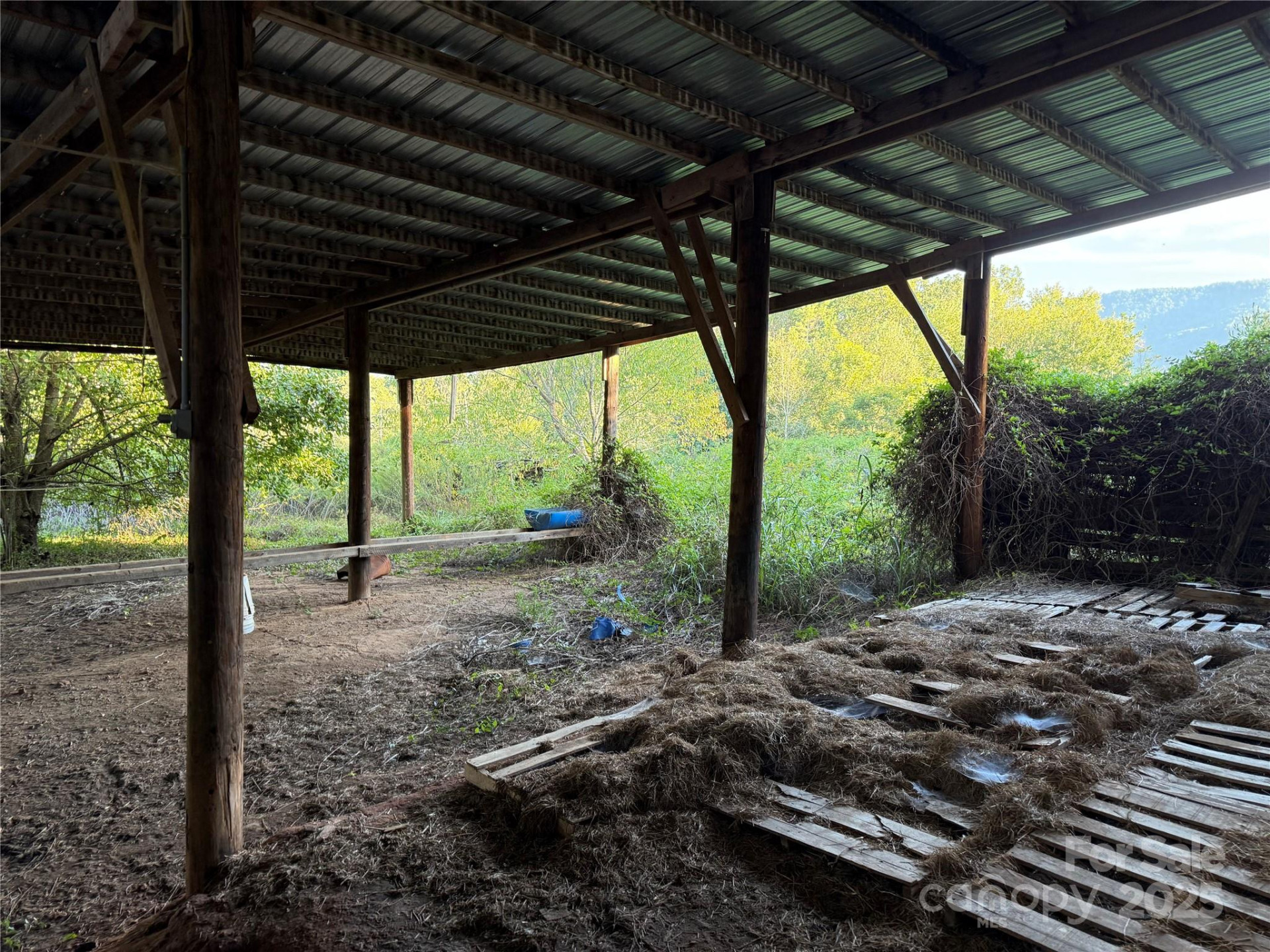 00 Paul Shuping Avenue - Photo 3