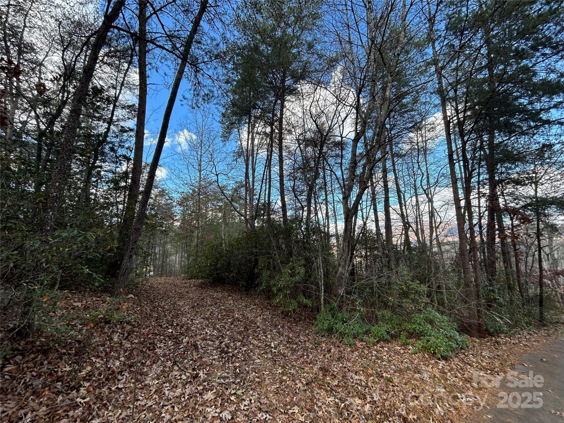 0 Raleigh Drive #2 - Photo 2