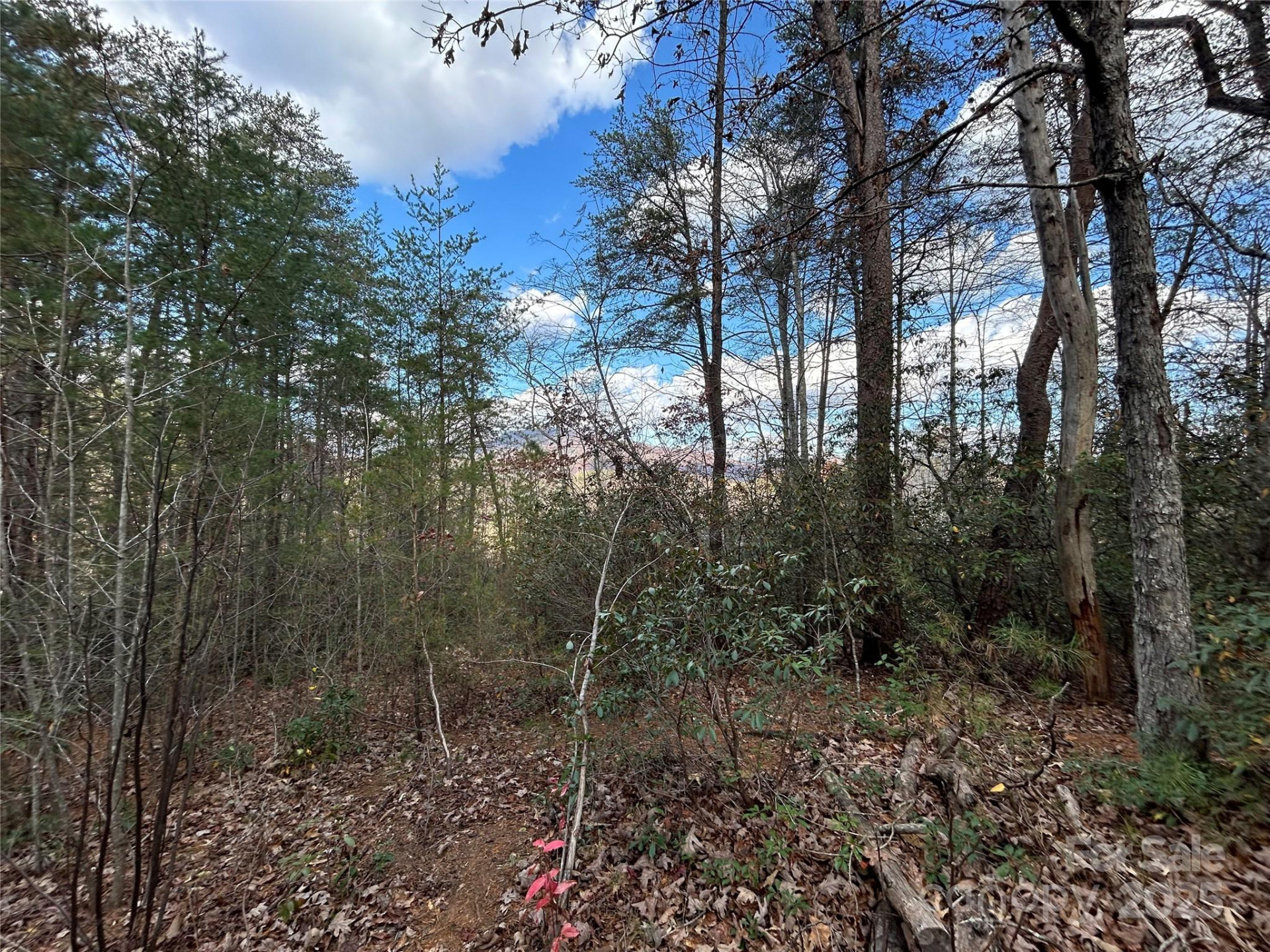0 Raleigh Drive #2 - Photo 5