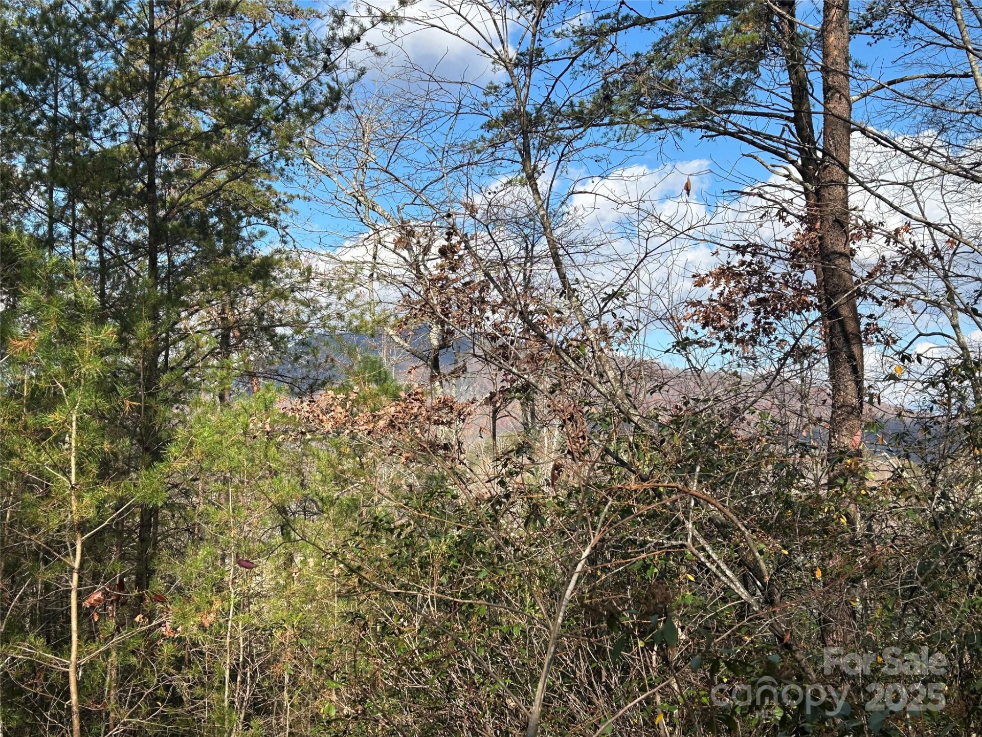 0 Raleigh Drive #2 - Photo 6