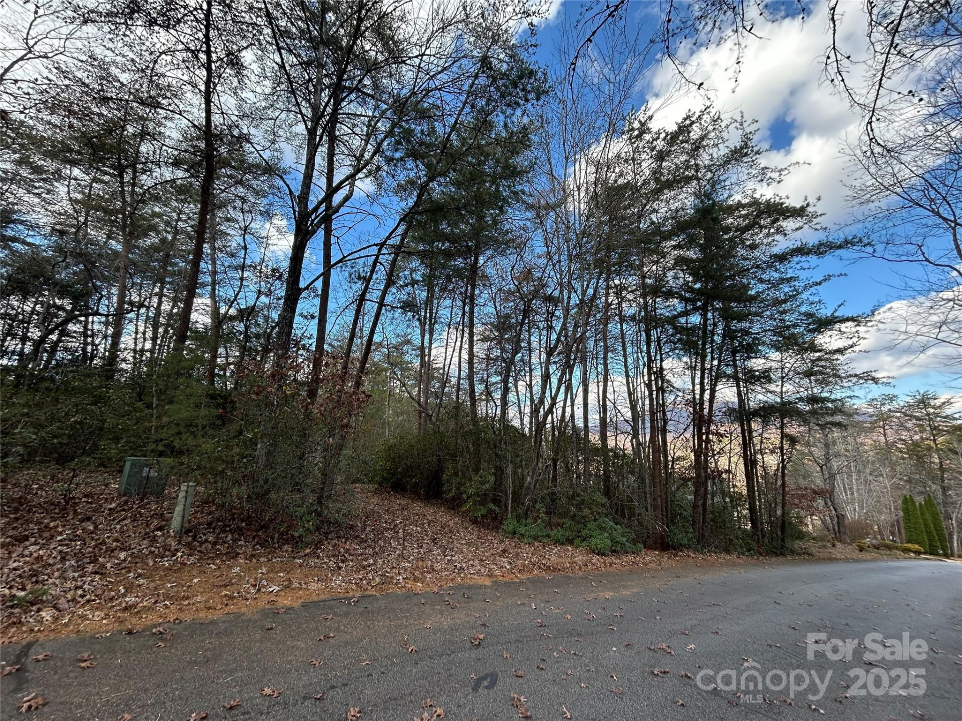 0 Raleigh Drive #2 - Photo 9