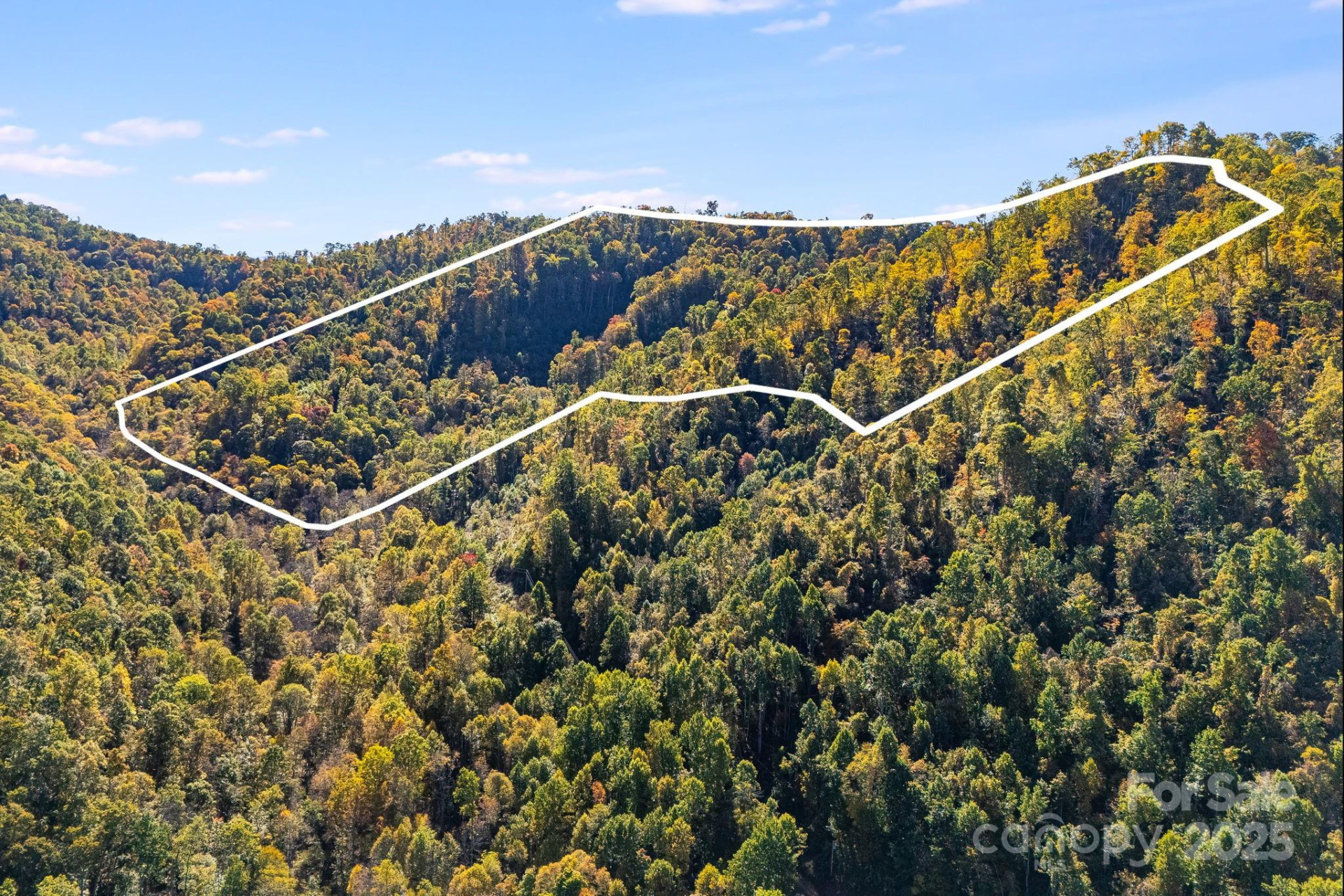 000 Hamburg Road #49 - Photo 2