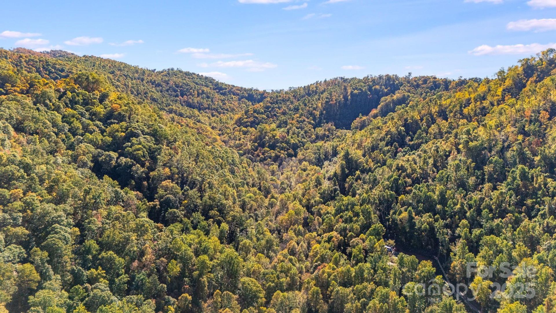 000 Hamburg Road #49 - Photo 11