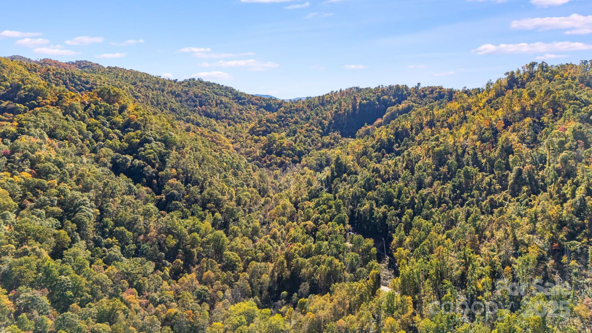 000 Hamburg Road #49 - Photo 12