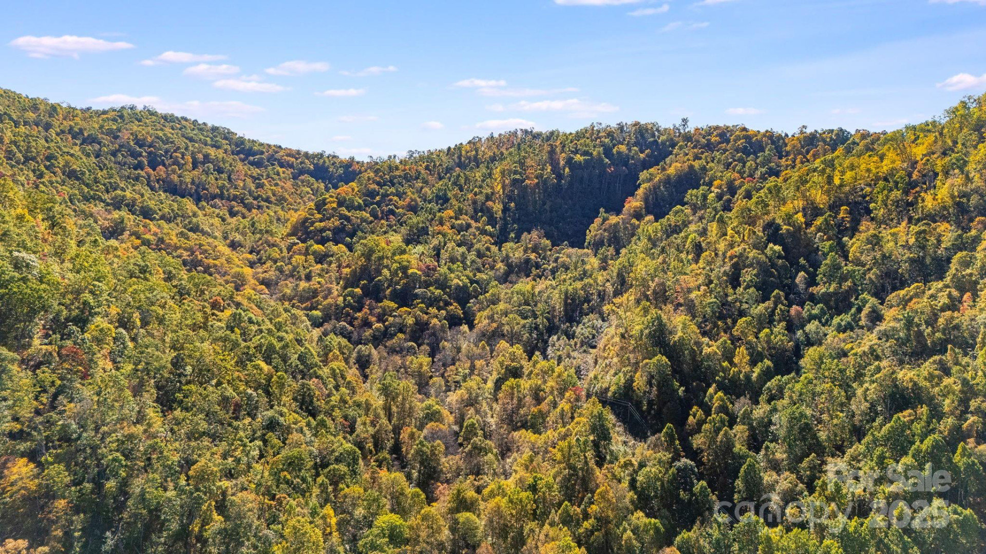 000 Hamburg Road #49 - Photo 13