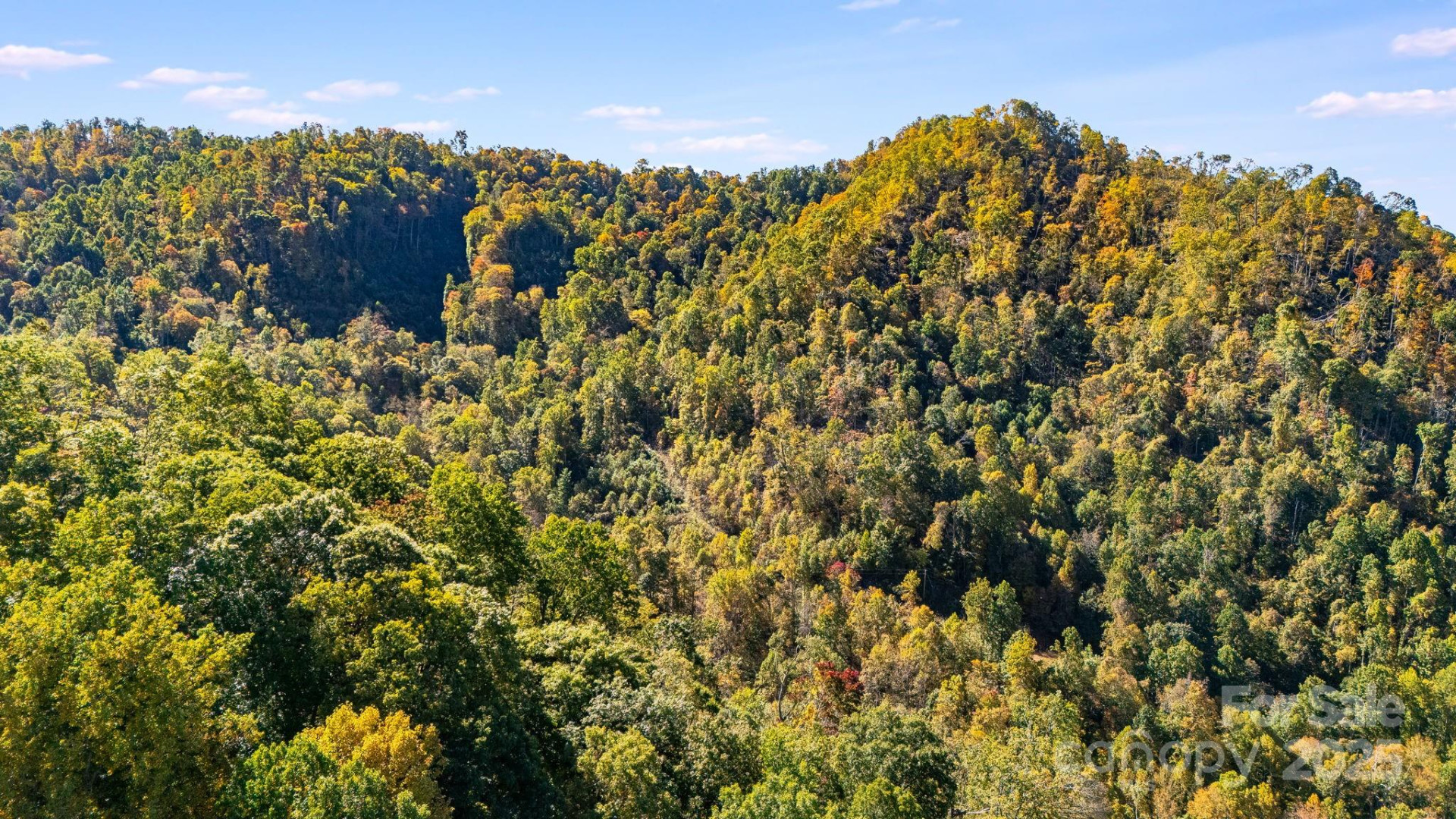 000 Hamburg Road #49 - Photo 14