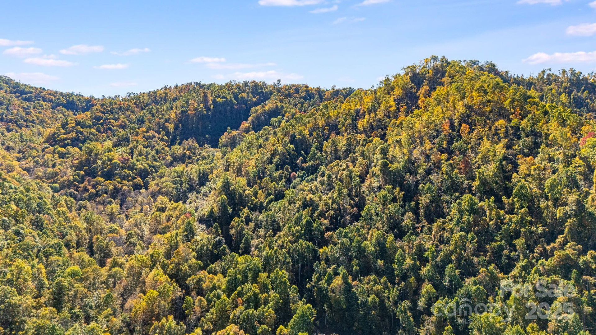 000 Hamburg Road #49 - Photo 15