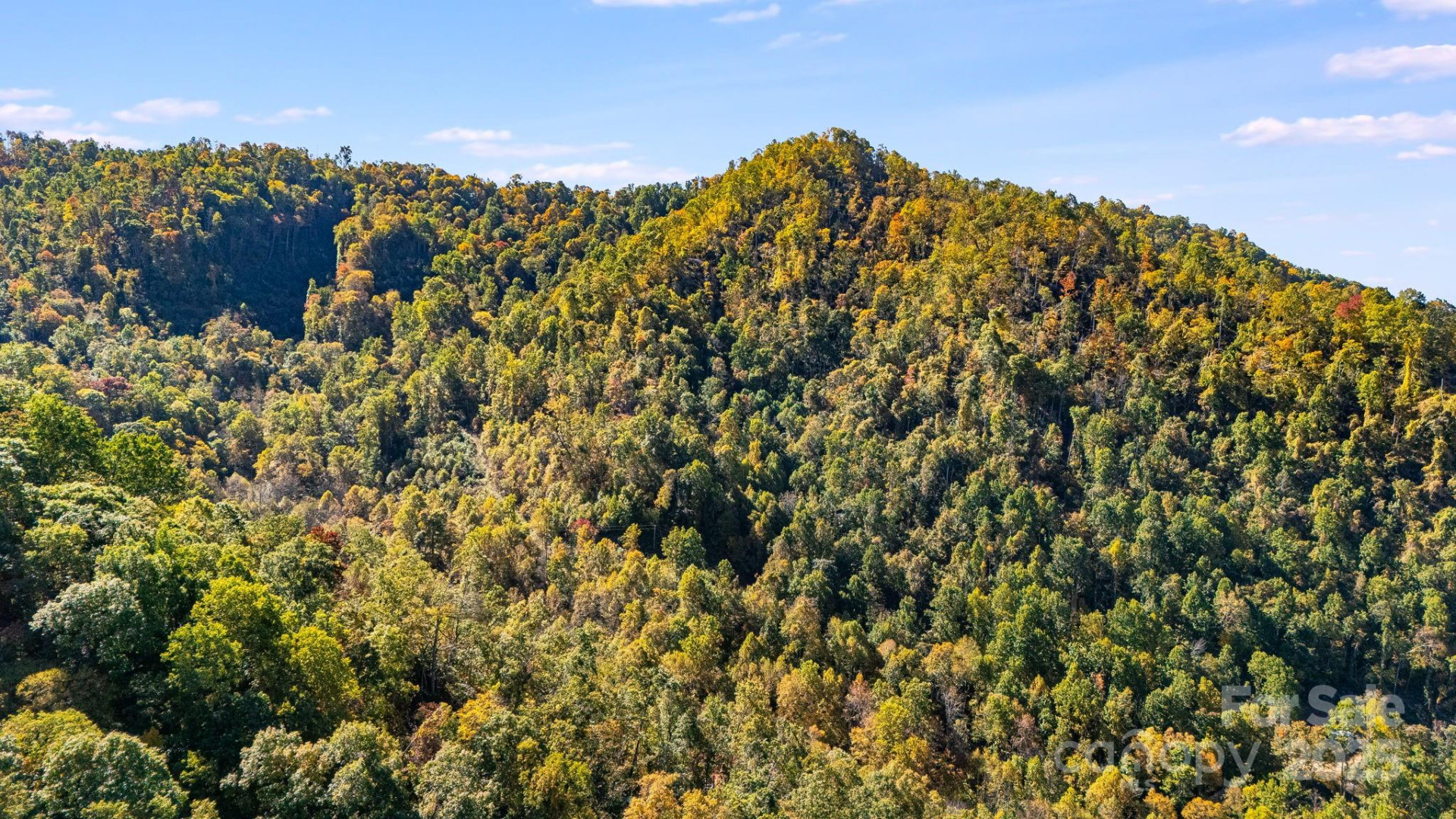 000 Hamburg Road #49 - Photo 16