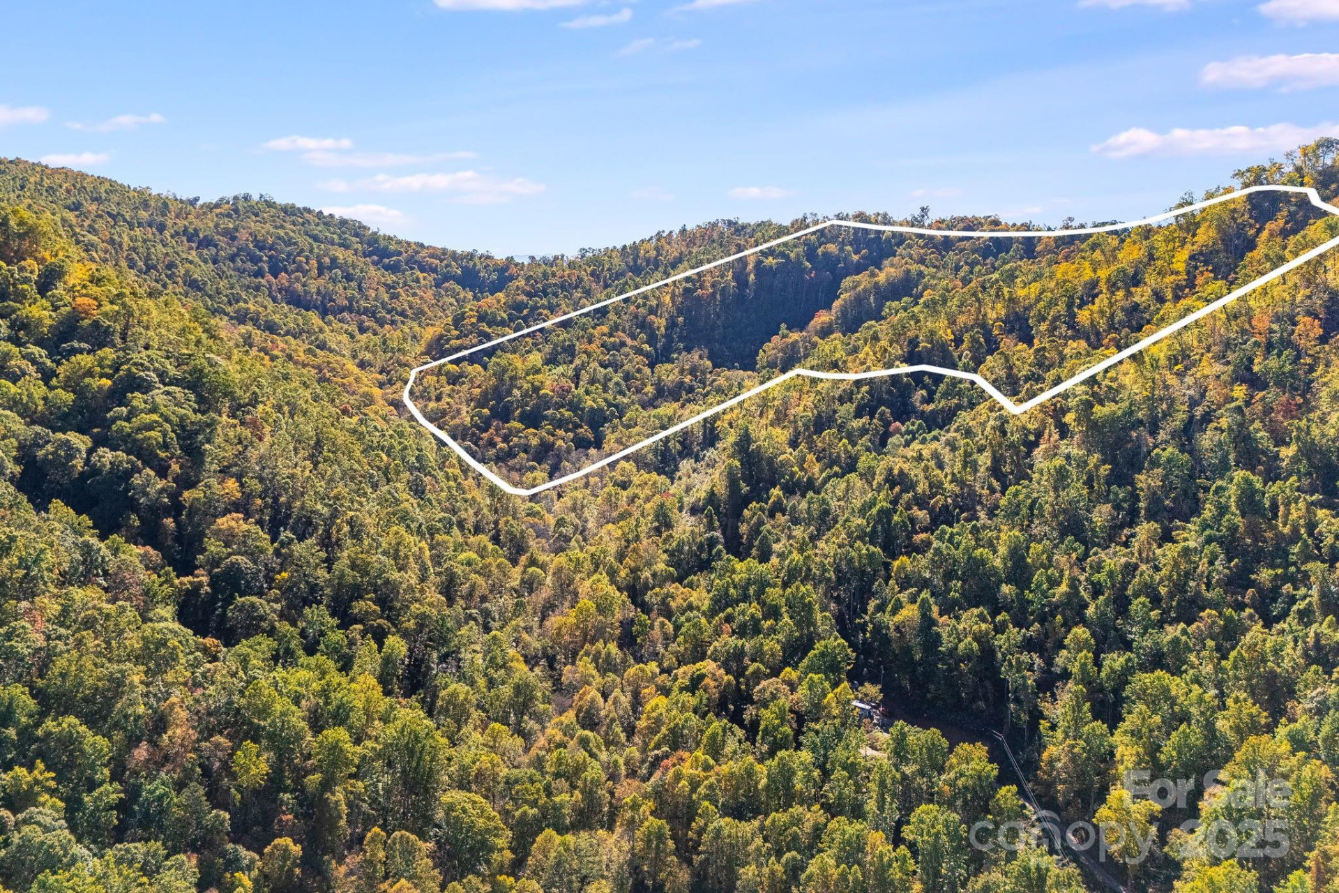 000 Hamburg Road #49 - Photo 3