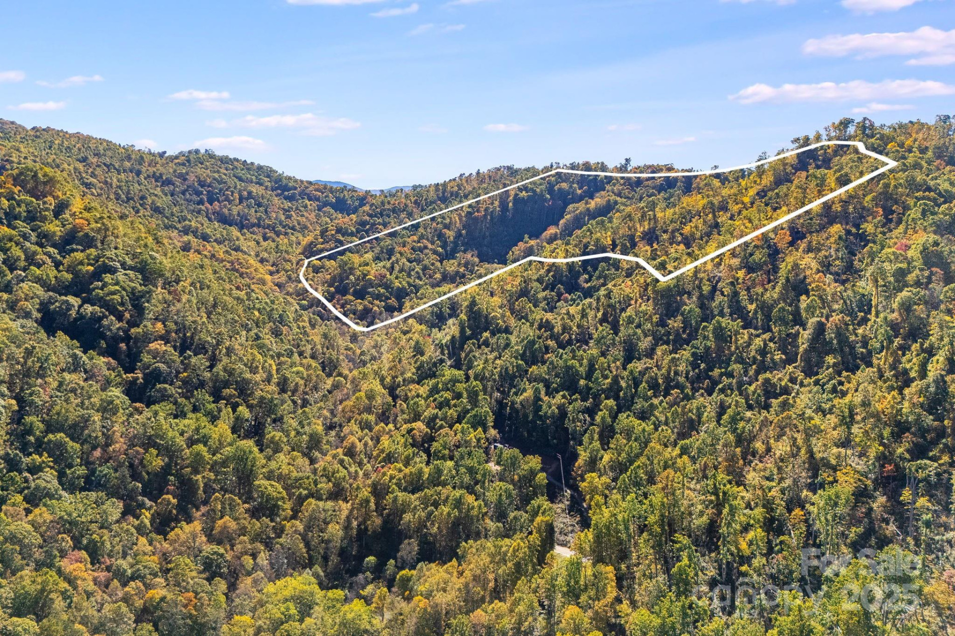 000 Hamburg Road #49 - Photo 4