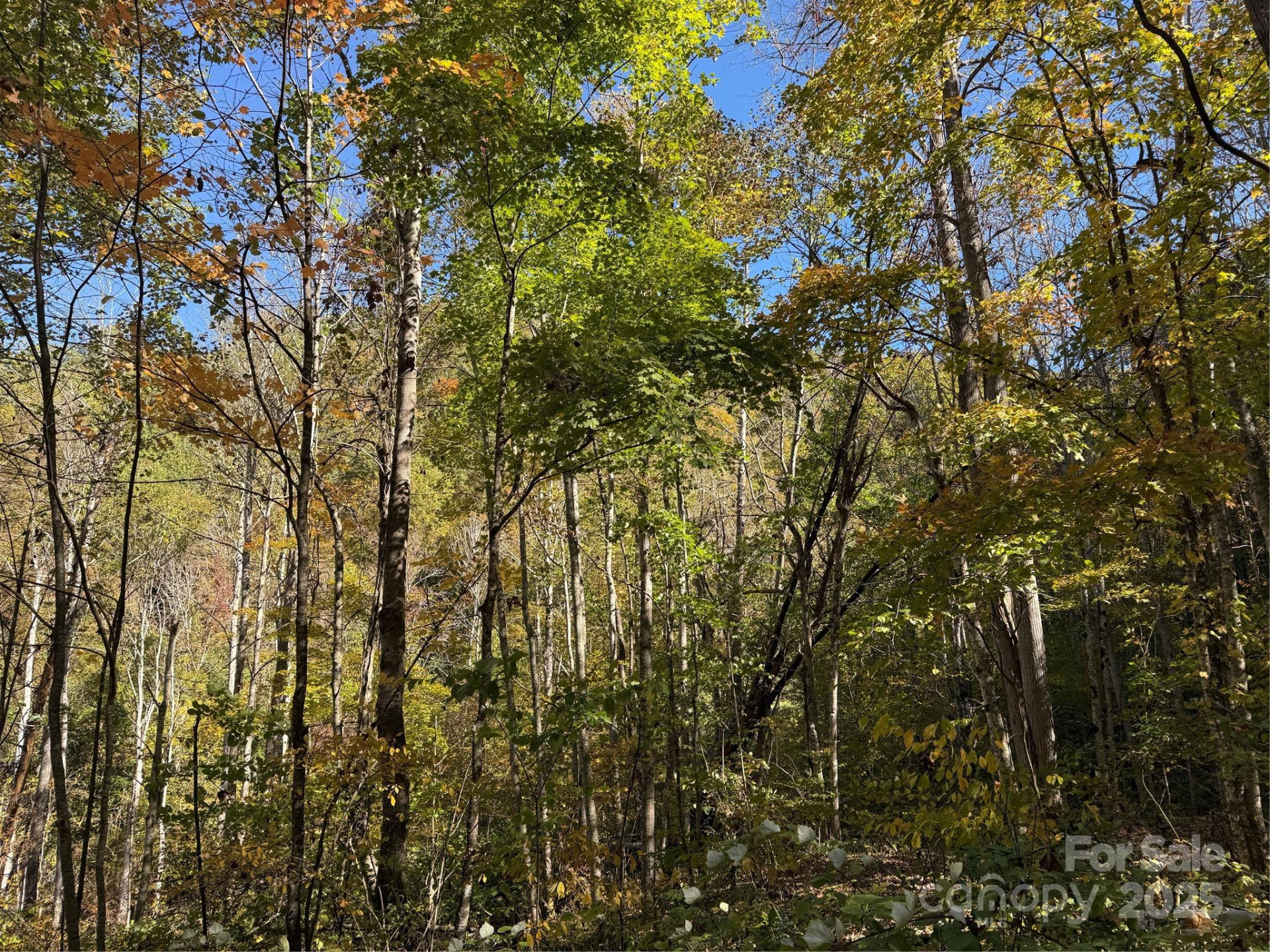 000 Hamburg Road #49 - Photo 6