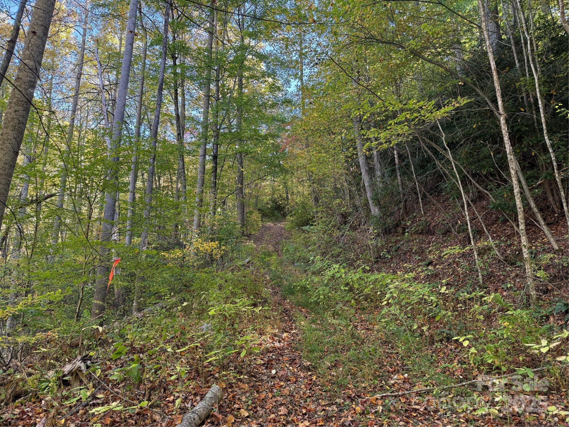 000 Hamburg Road #49 - Photo 7