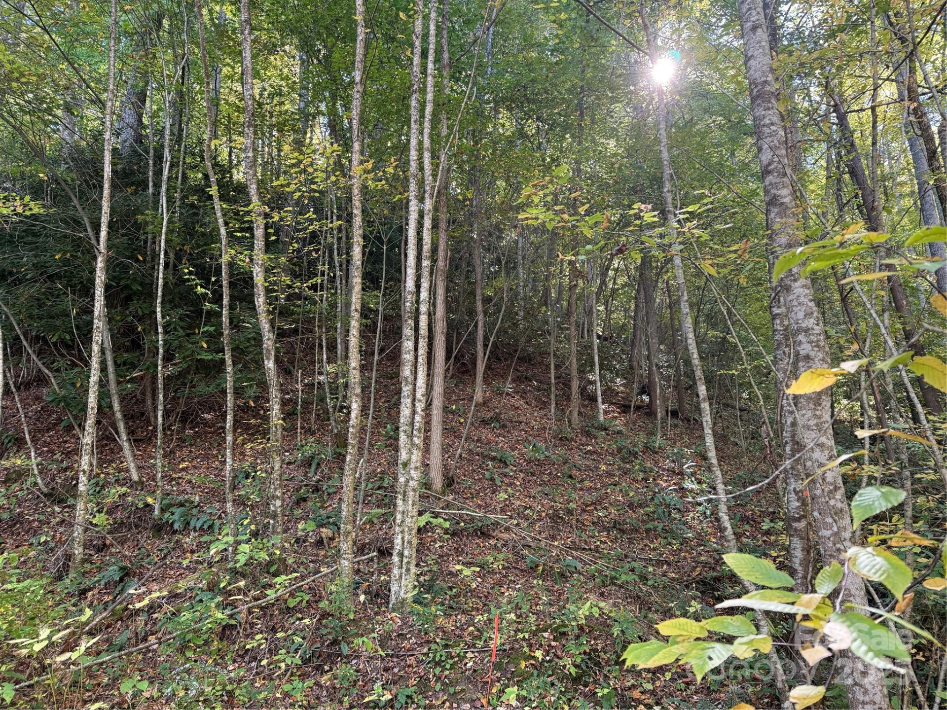 000 Hamburg Road #49 - Photo 10