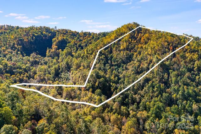 000 Hamburg Road, Mars Hill, NC, 28754